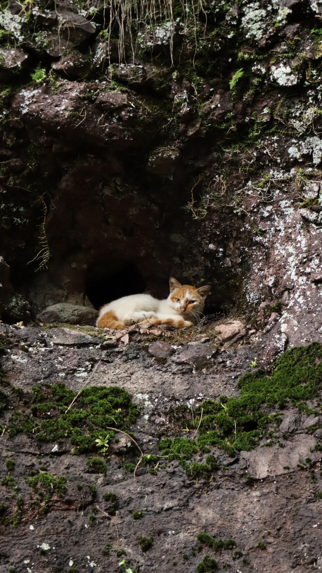 十九峰景区，菜鸡户外人不做选择！