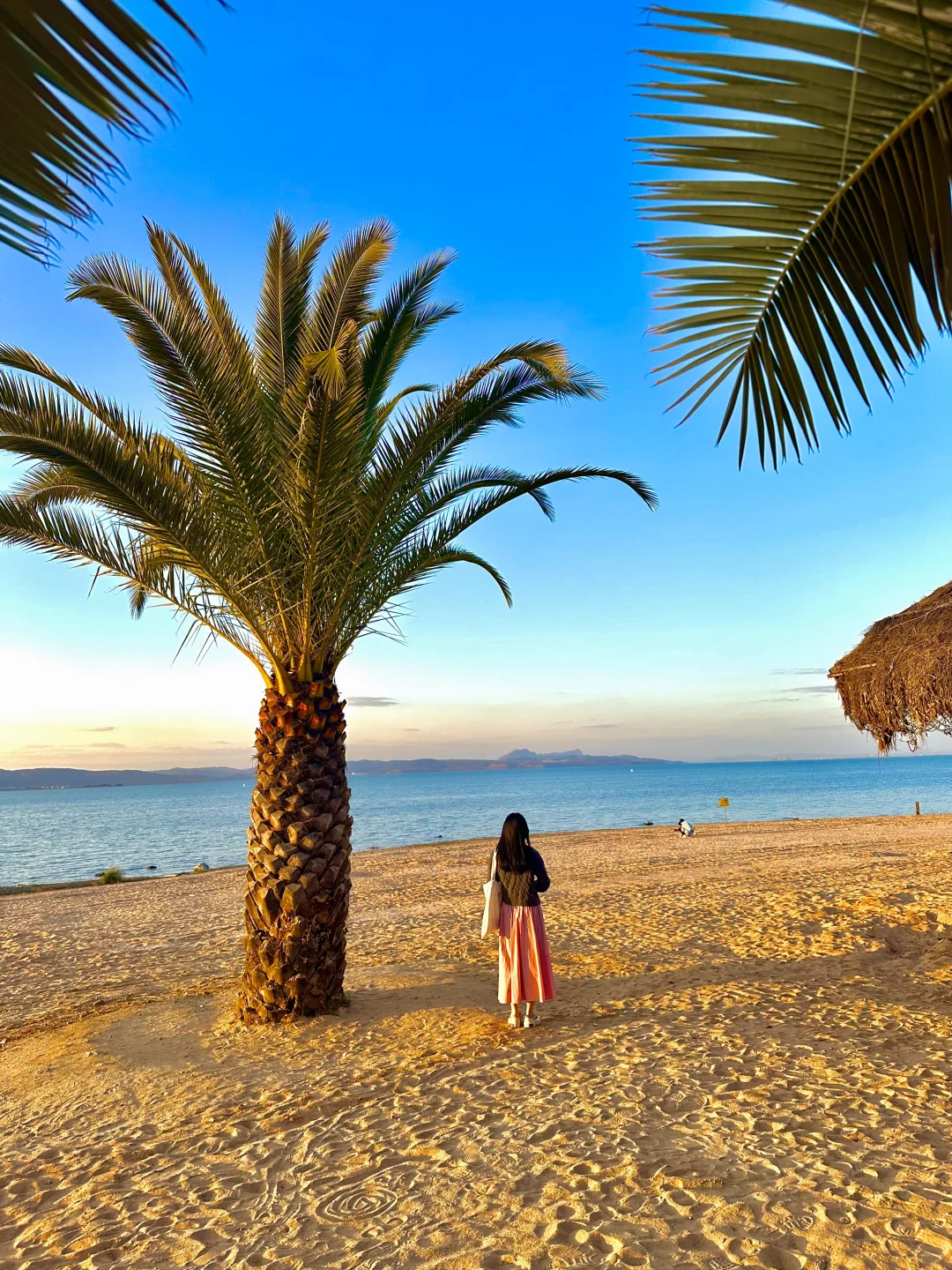 昆明最美的地方都是免费的（📍合集附地址）