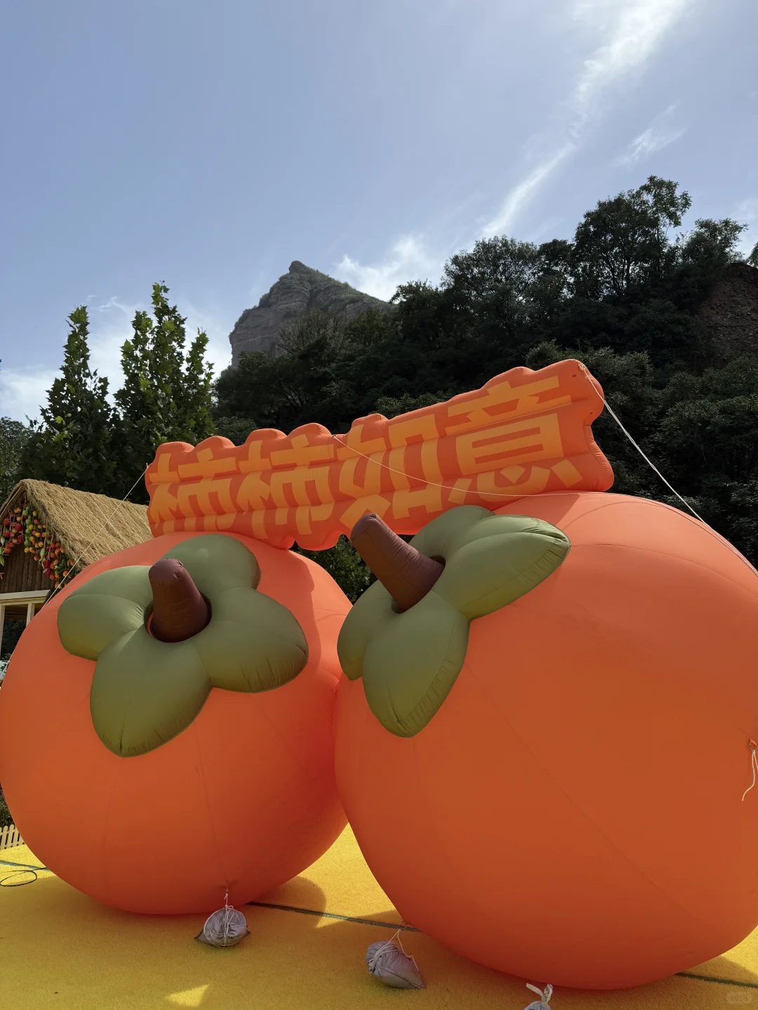 注意‼️19号起来七步沟要提前预约!