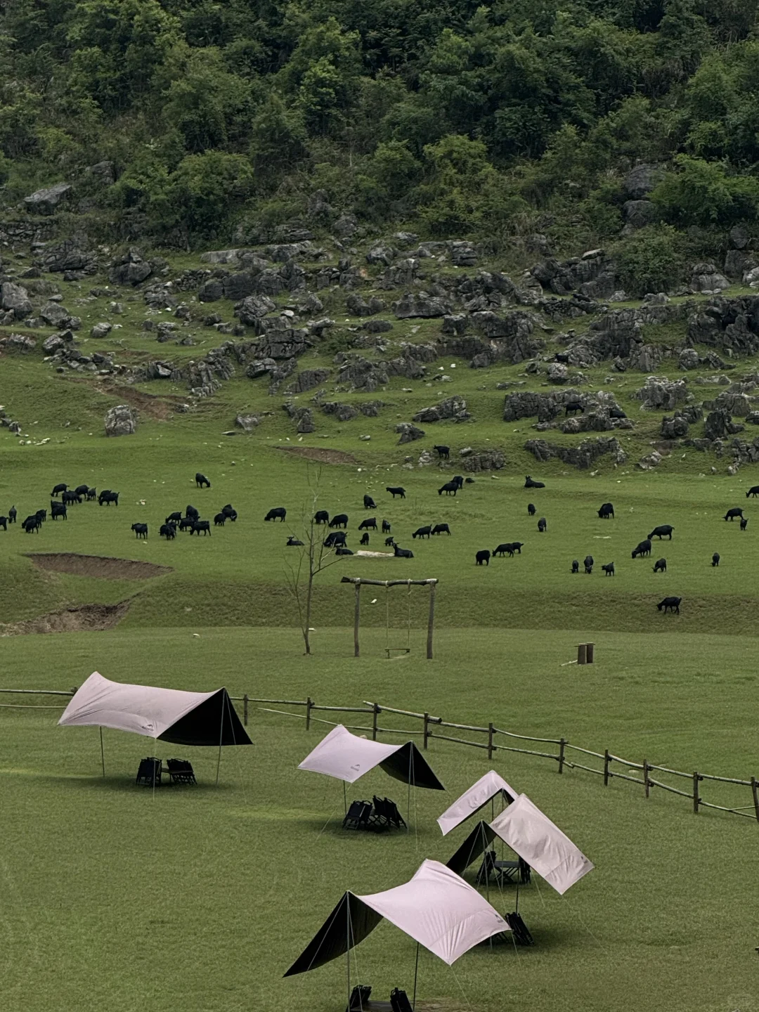 牛马新天地⛰️！安顺阿勒泰｜不在新疆在贵州！