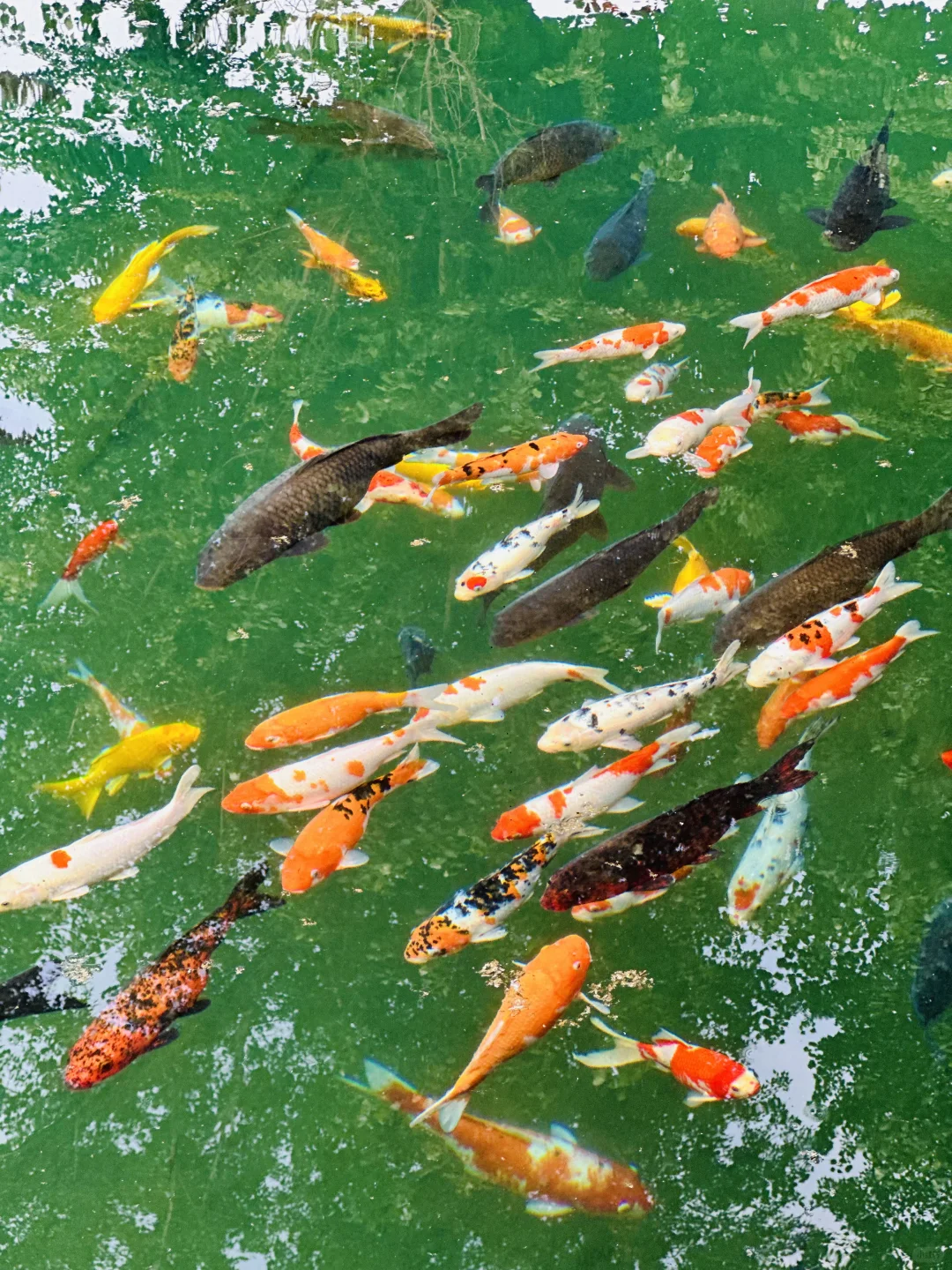 天津🚄1.5h直达|北方被严重低估的宝藏古城