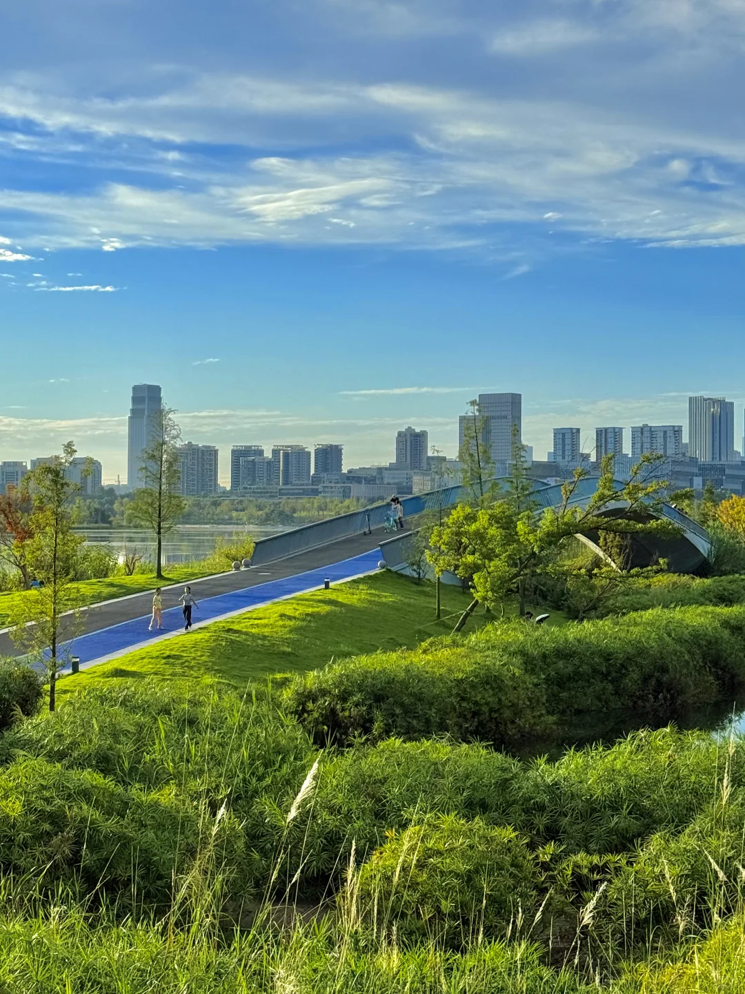 果然成都最好的地方都是免费的。。。。。(合集)