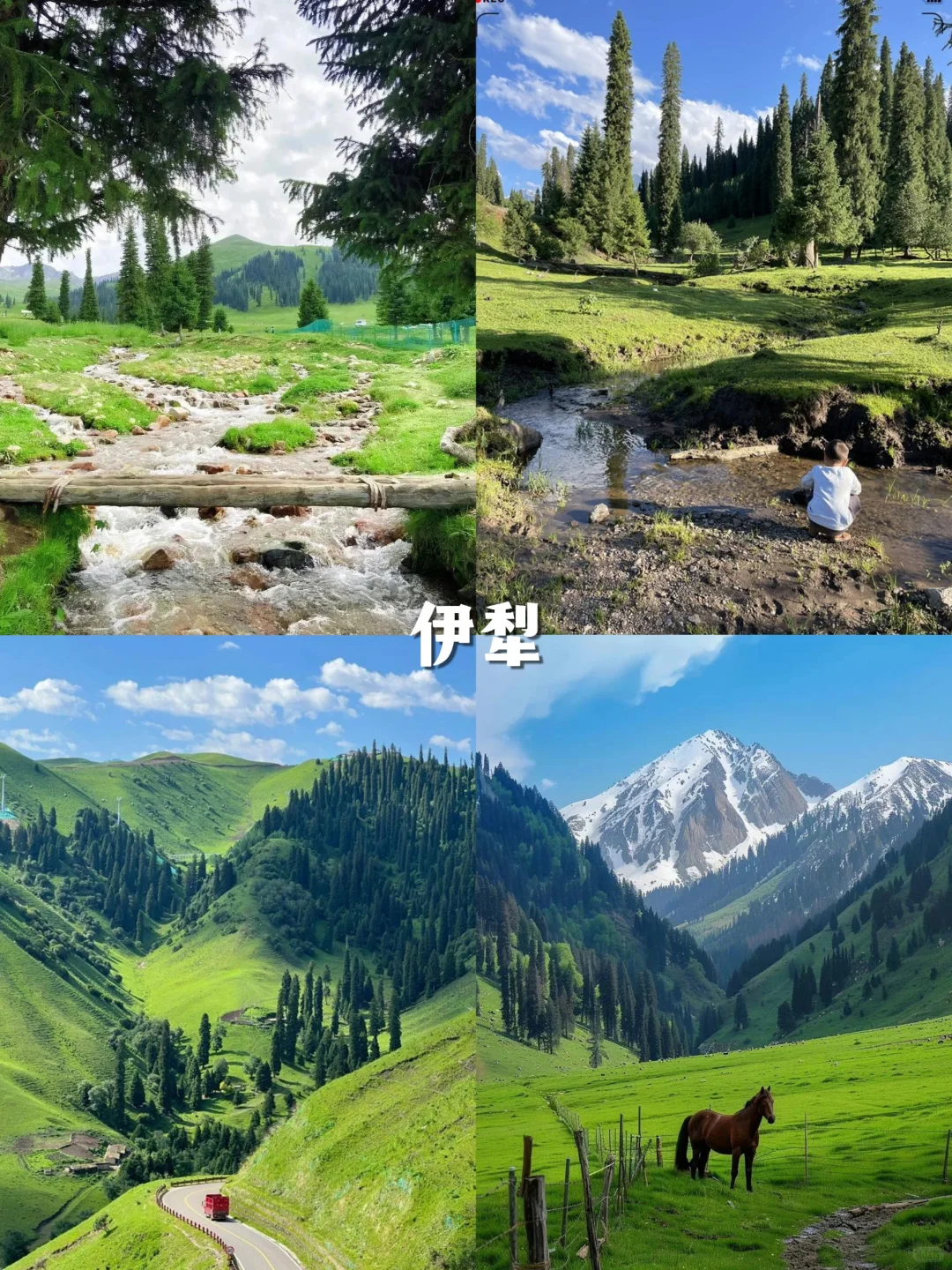 热疯了！国内十大避暑胜地，治愈你的夏天~