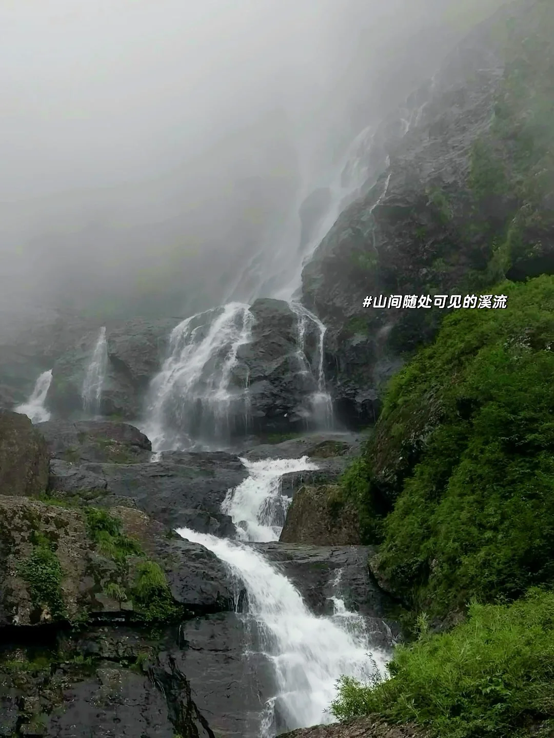 成都出发｜挑战每周出去玩（20/100）📍瓦屋山