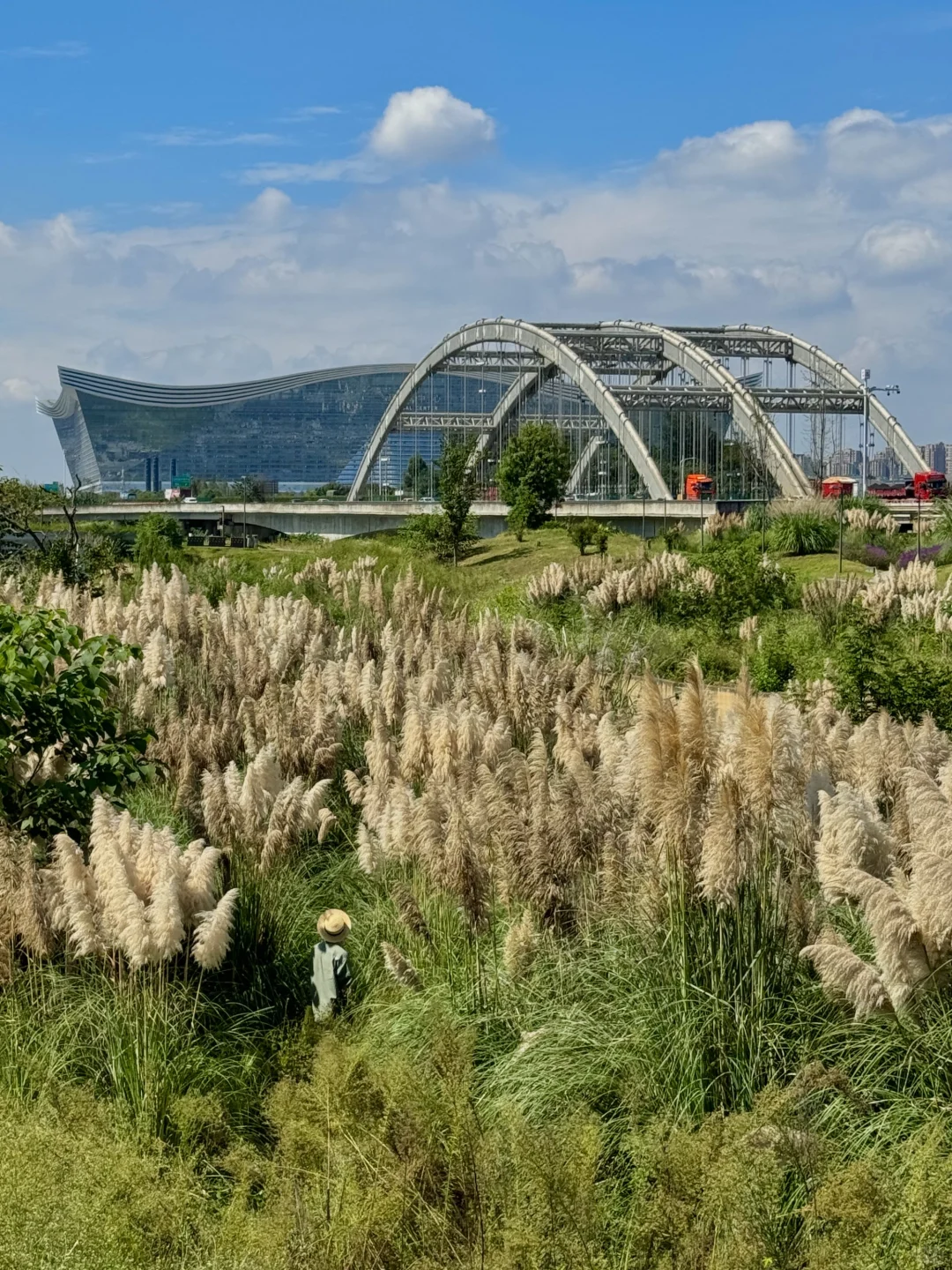 果然成都最好的地方都是免费的。。。。。(合集)