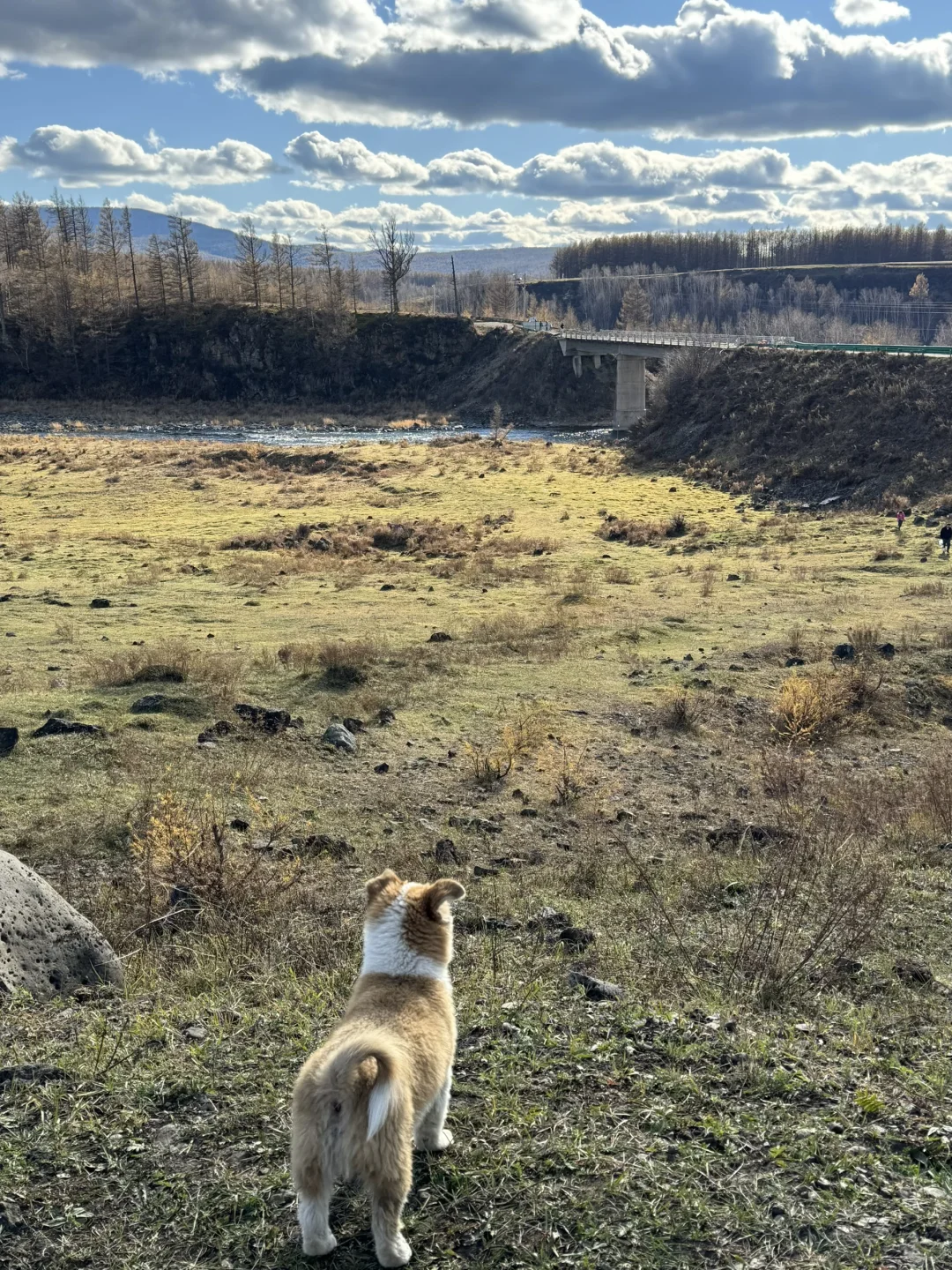 北京🚗阿尔山 全程FREE宝藏景点-上篇