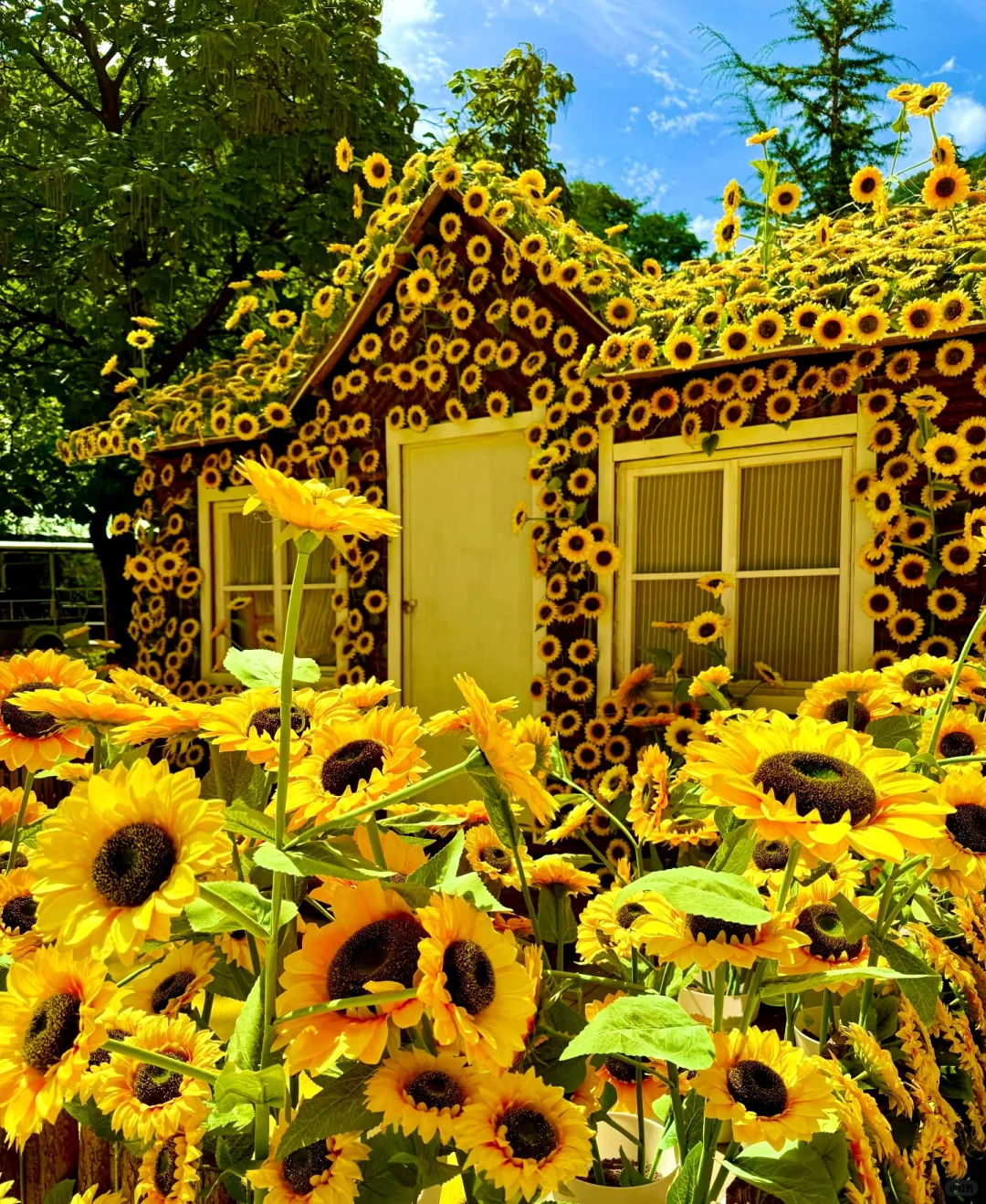 邯郸七步沟景区免门票非常不错值得一去