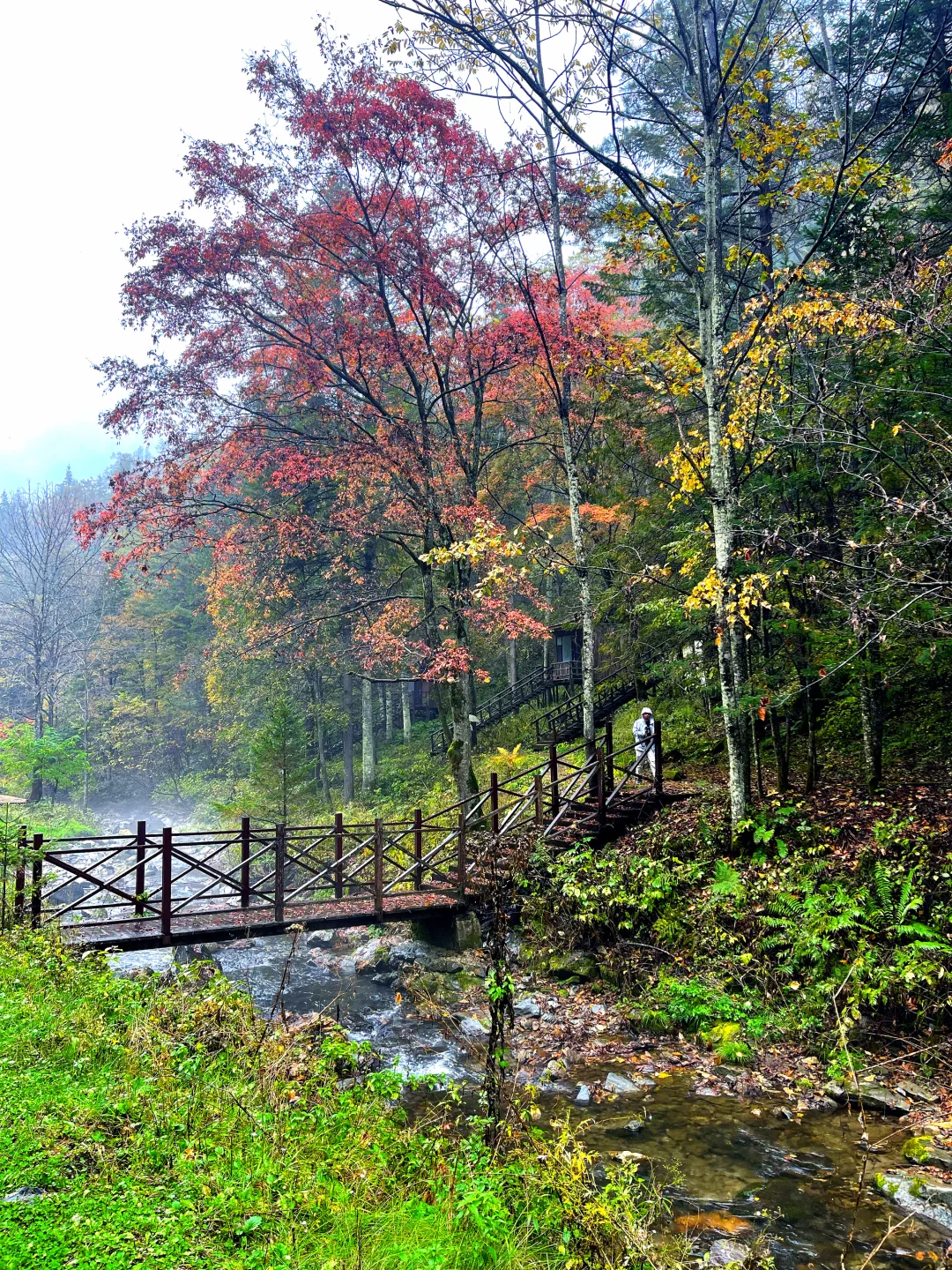 东北边陲小城，居然藏着祖国最美秋天！