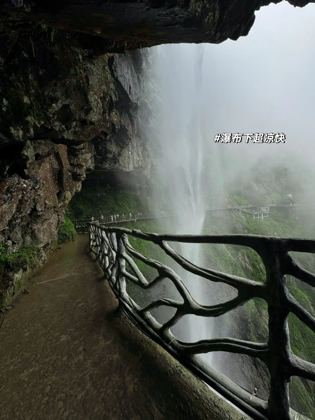 成都出发｜挑战每周出去玩（20/100）📍瓦屋山