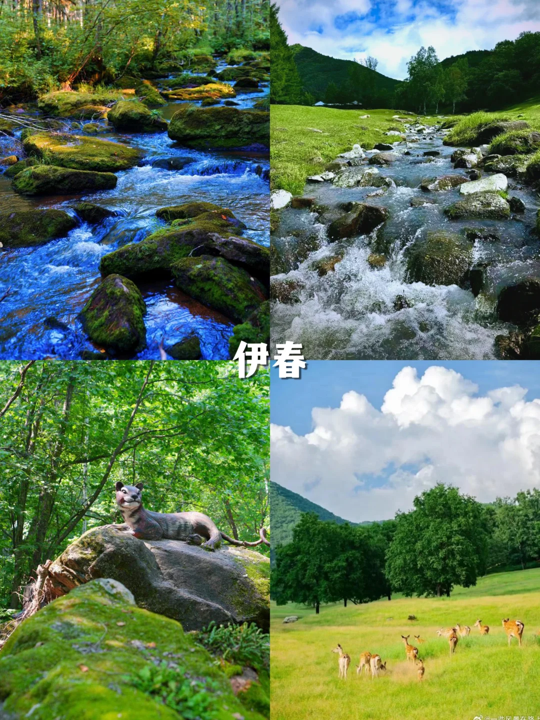 热疯了！国内十大避暑胜地，治愈你的夏天~