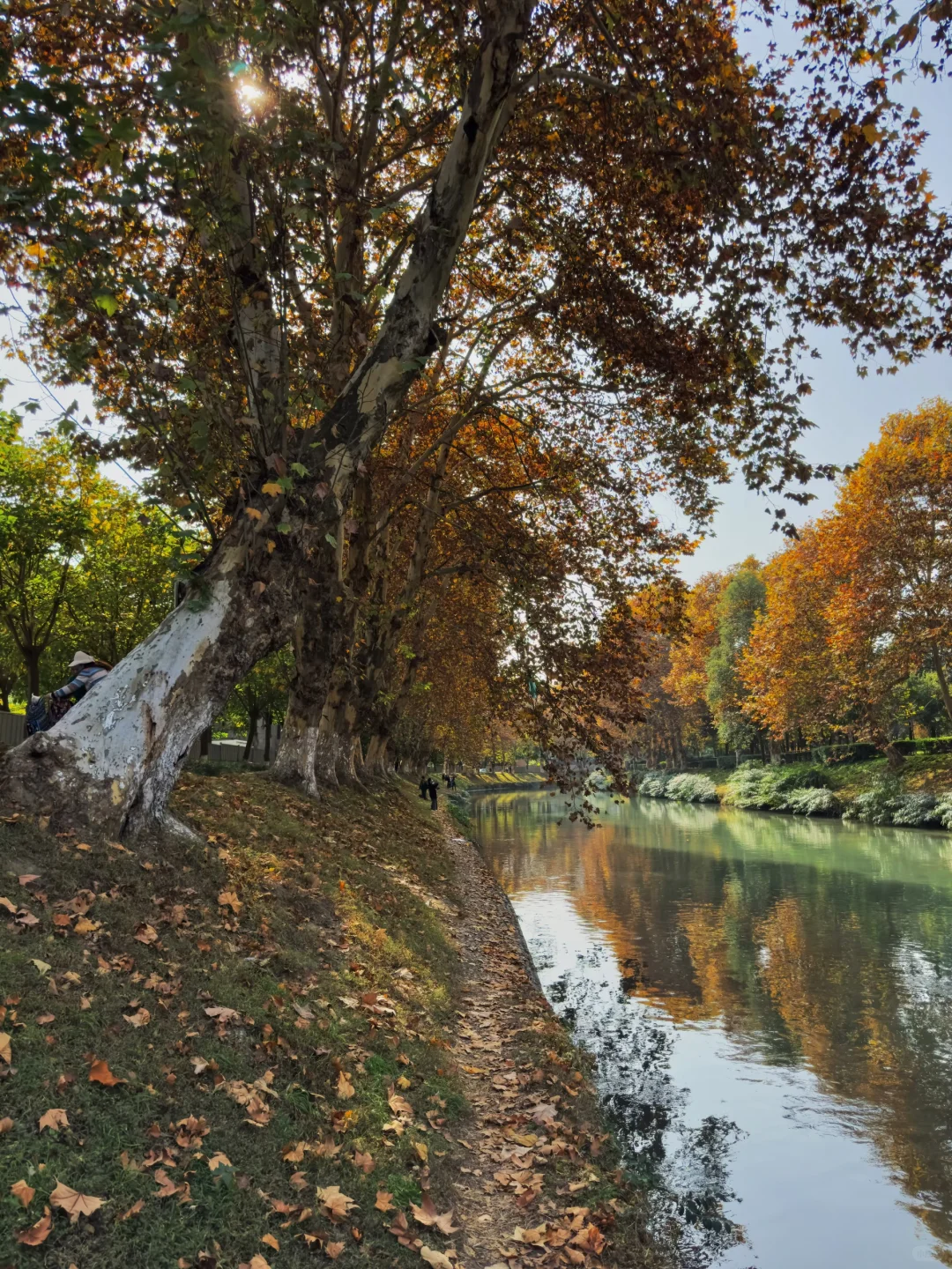 果然成都最好的地方都是免费的。。。。。(合集)