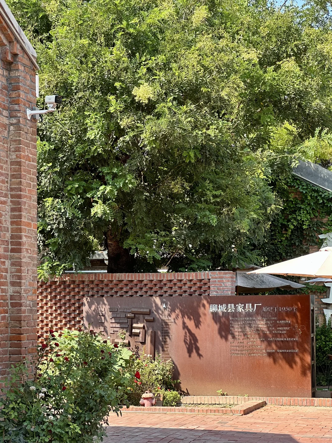 聊城｜避开人潮，我的初秋短途旅行目的地🍃