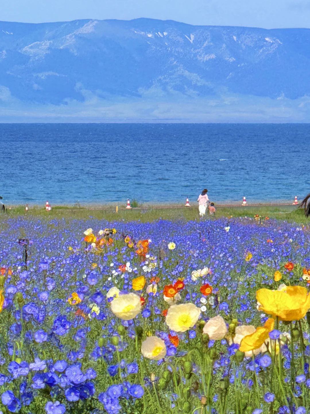 live｜新疆现实版旷野之息❗️