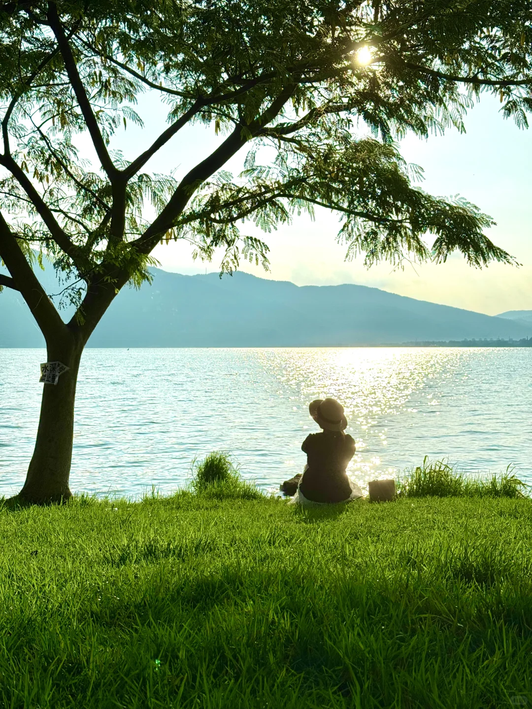 昆明最美的地方都是免费的（📍合集附地址）