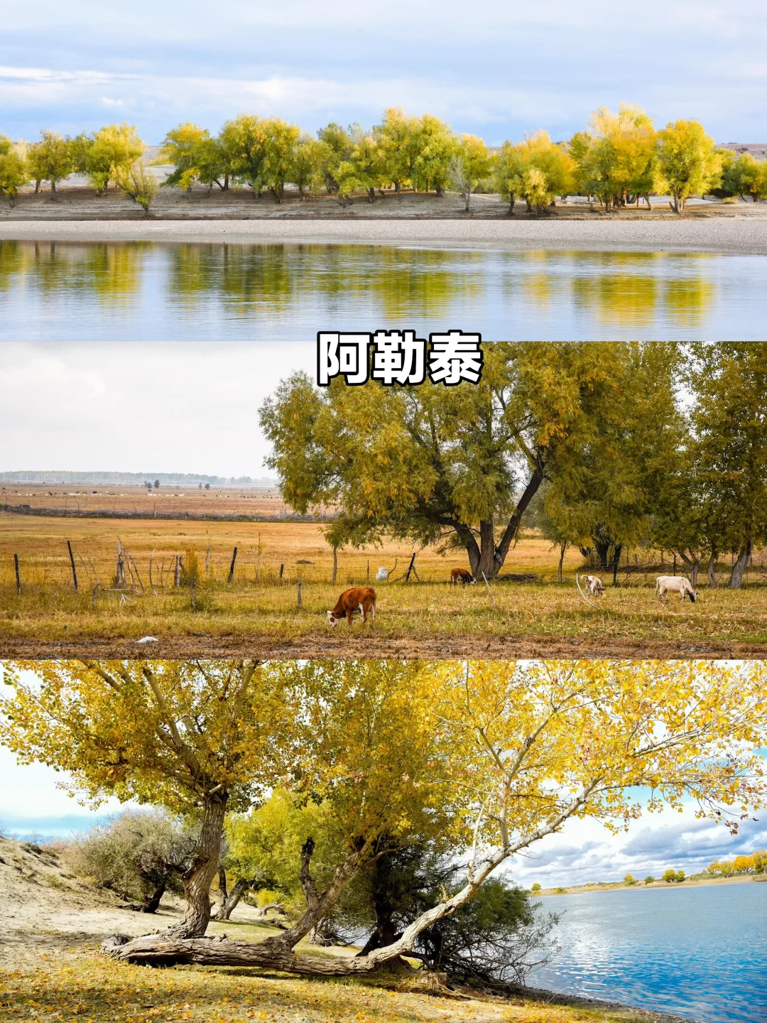 拒绝人从众！中秋国庆小众亲子目的地推荐