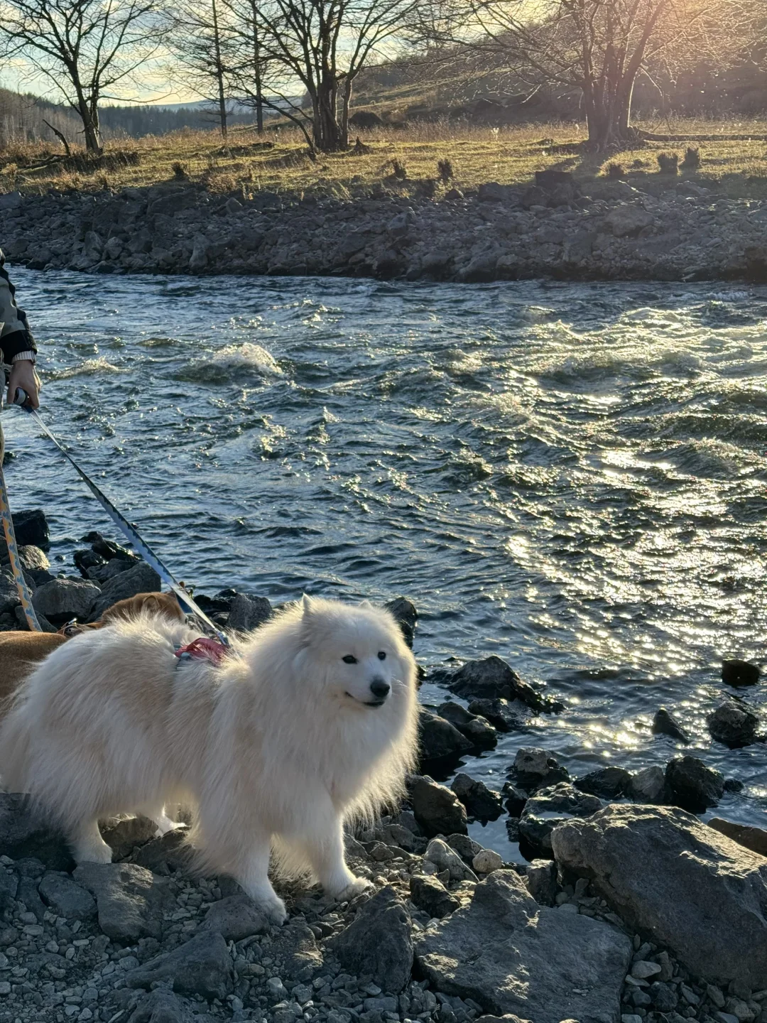 北京🚗阿尔山 全程FREE宝藏景点-上篇