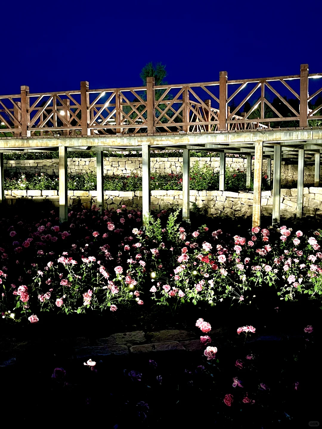 不是意大利是晋城！！都给我去啊啊啊啊！！！！