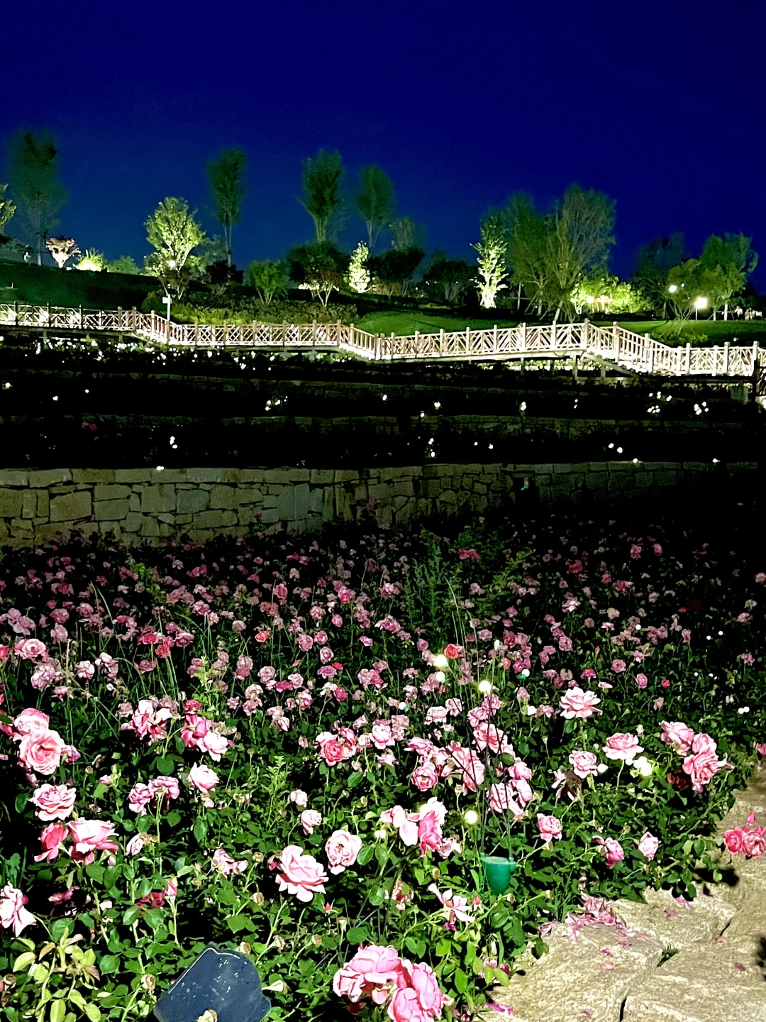 不是意大利是晋城！！都给我去啊啊啊啊！！！！