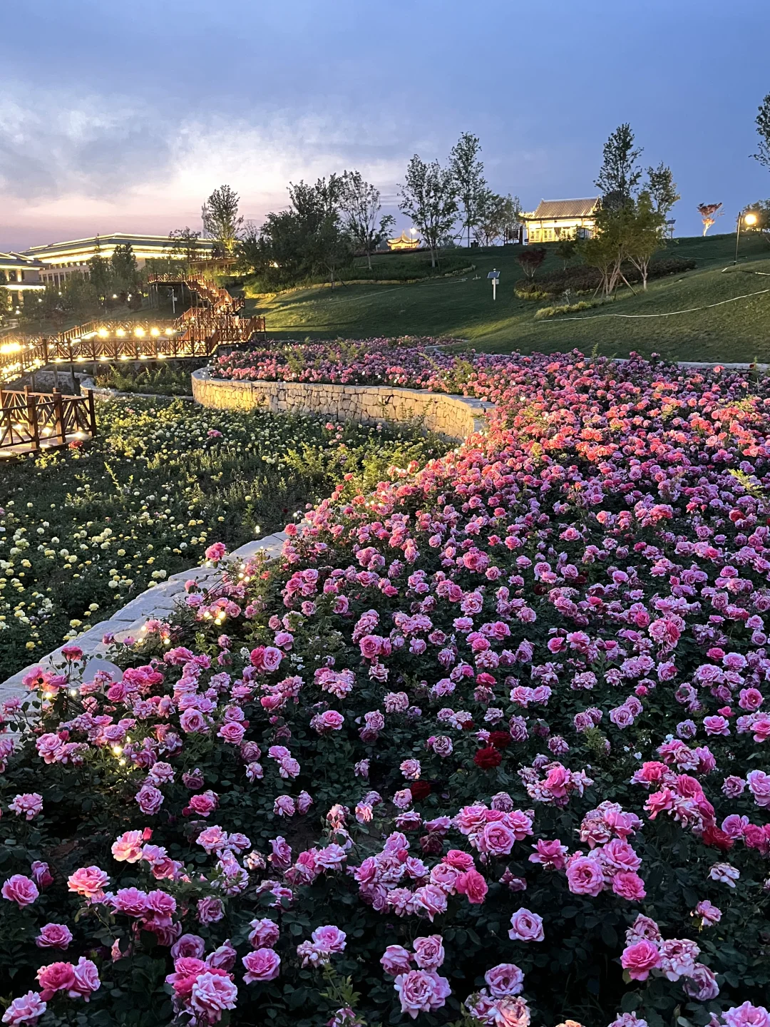 不是意大利是晋城！！都给我去啊啊啊啊！！！！