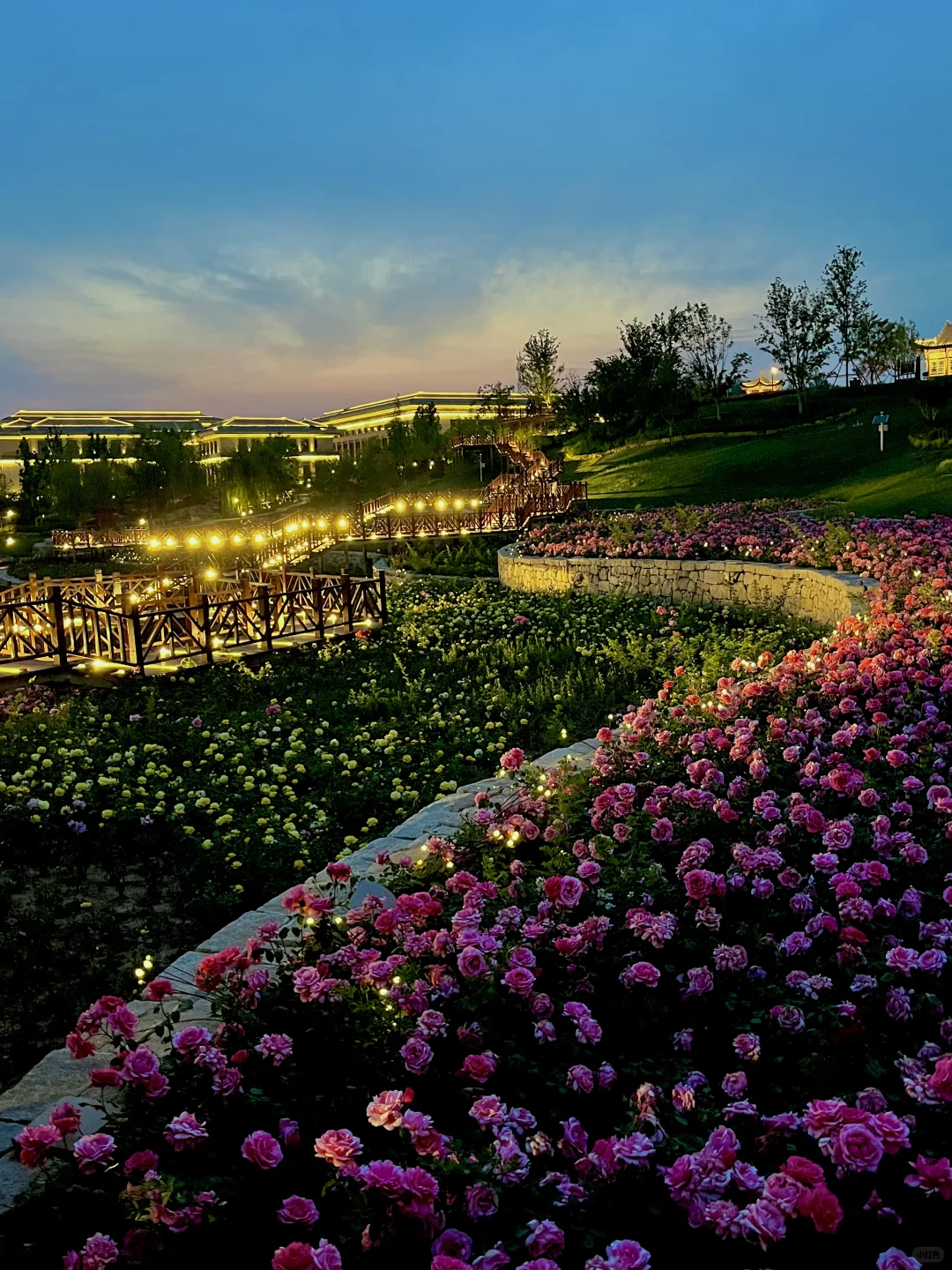 不是意大利是晋城！！都给我去啊啊啊啊！！！！