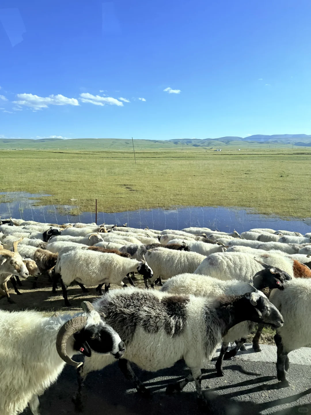 🌏我宣布九月是最适合去西宁的时间！