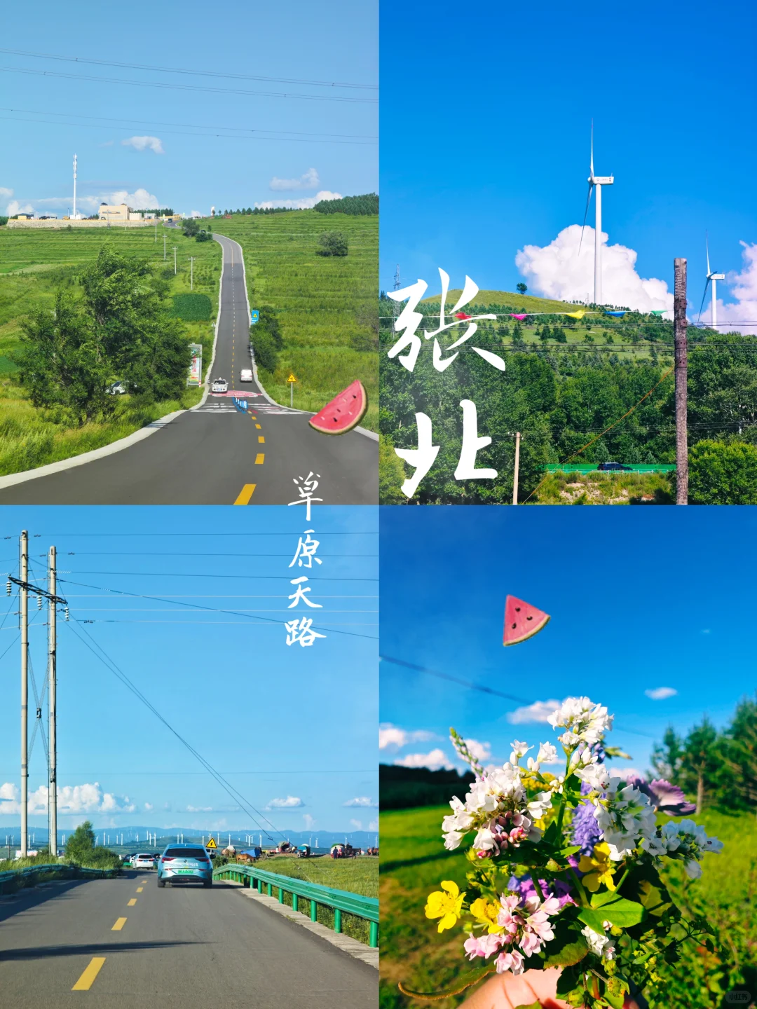 张北📍草原天路游玩儿现状