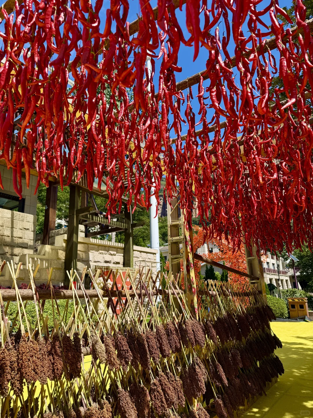 七步沟免门票啦！武安旅发必打卡秋日秘境✨