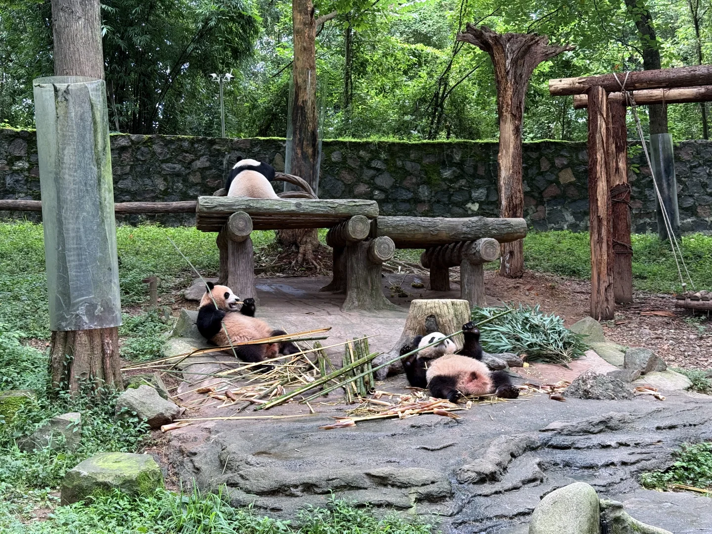 九寨沟-三星堆-乐山-都江堰-成都旅游攻略