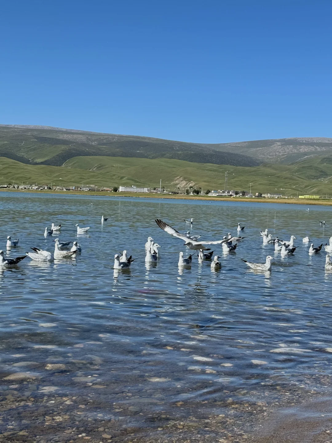 🌏我宣布九月是最适合去西宁的时间！