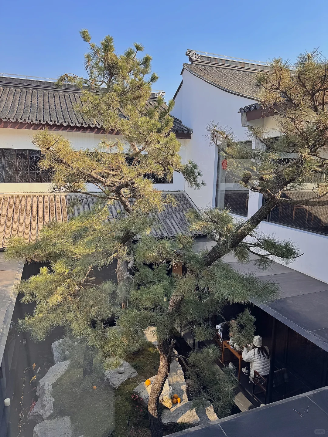 以为乌镇很美了，直到我去了苏州。。。。