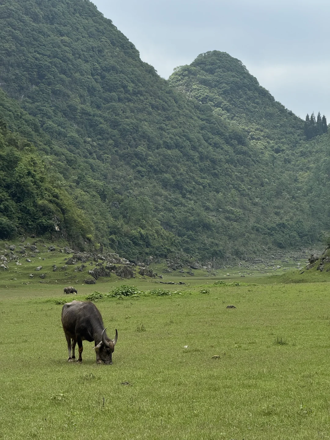 牛马新天地⛰️！安顺阿勒泰｜不在新疆在贵州！