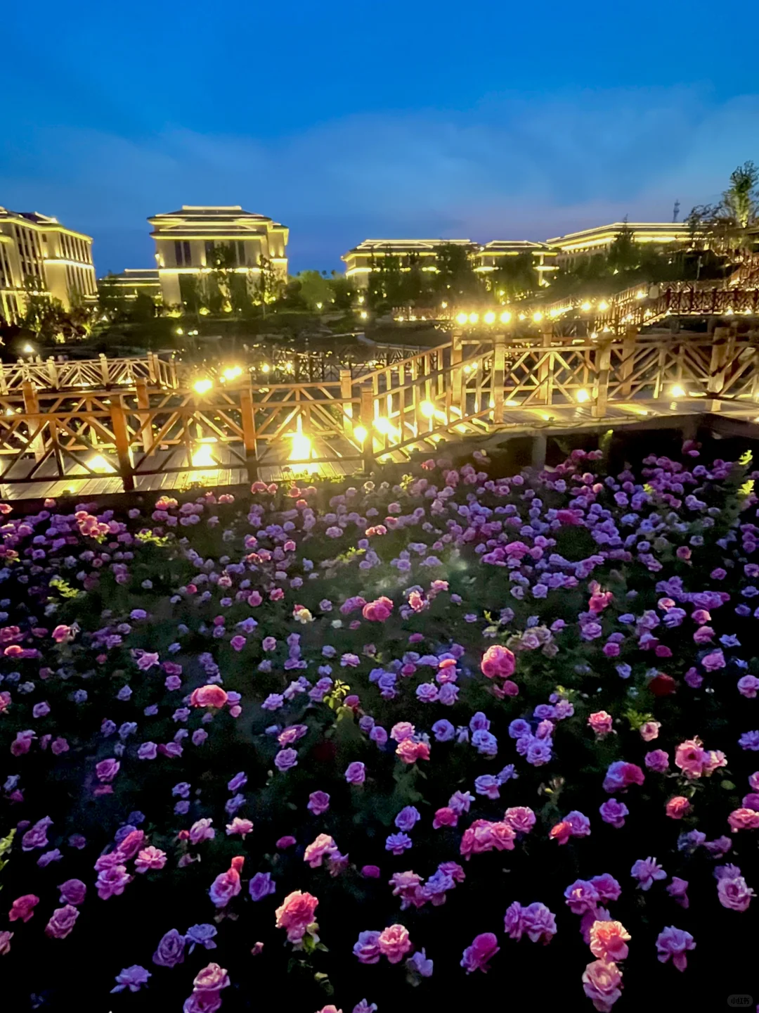 不是意大利是晋城！！都给我去啊啊啊啊！！！！