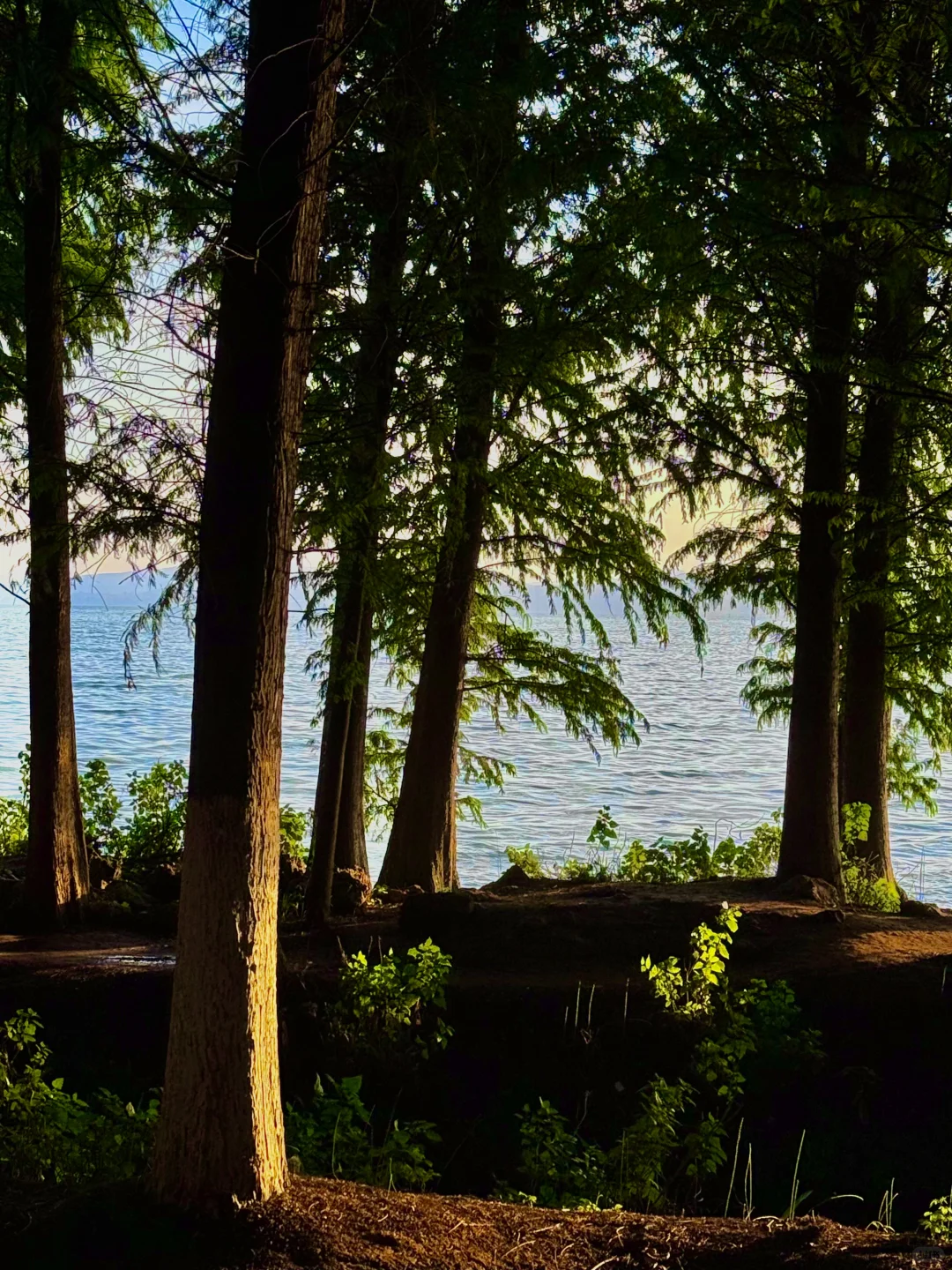 昆明最美的地方都是免费的（📍合集附地址）