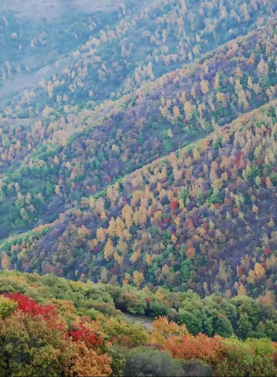 京津冀赏秋 | 2025年北京河北秋日徒步地图