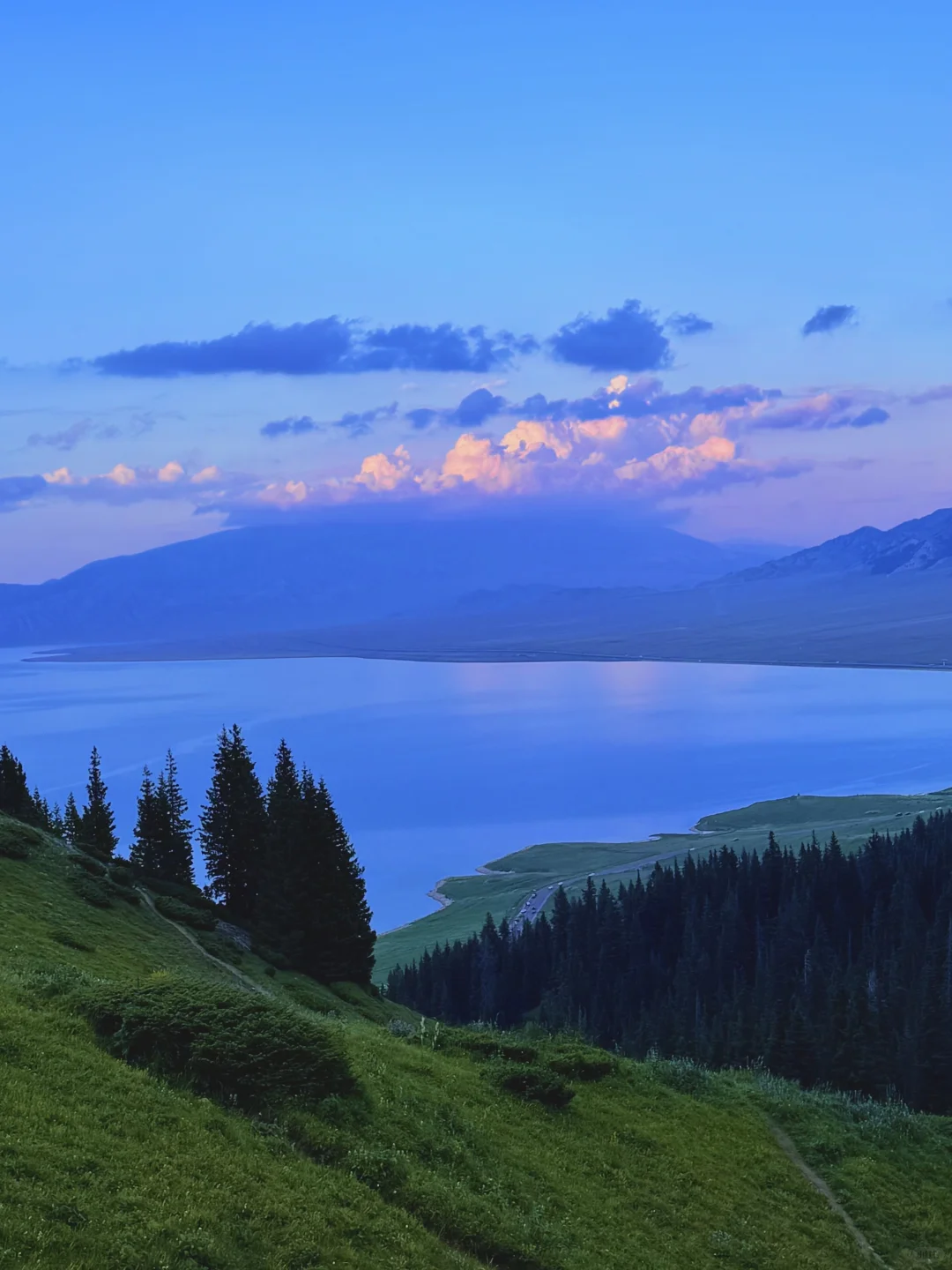 live｜新疆现实版旷野之息❗️