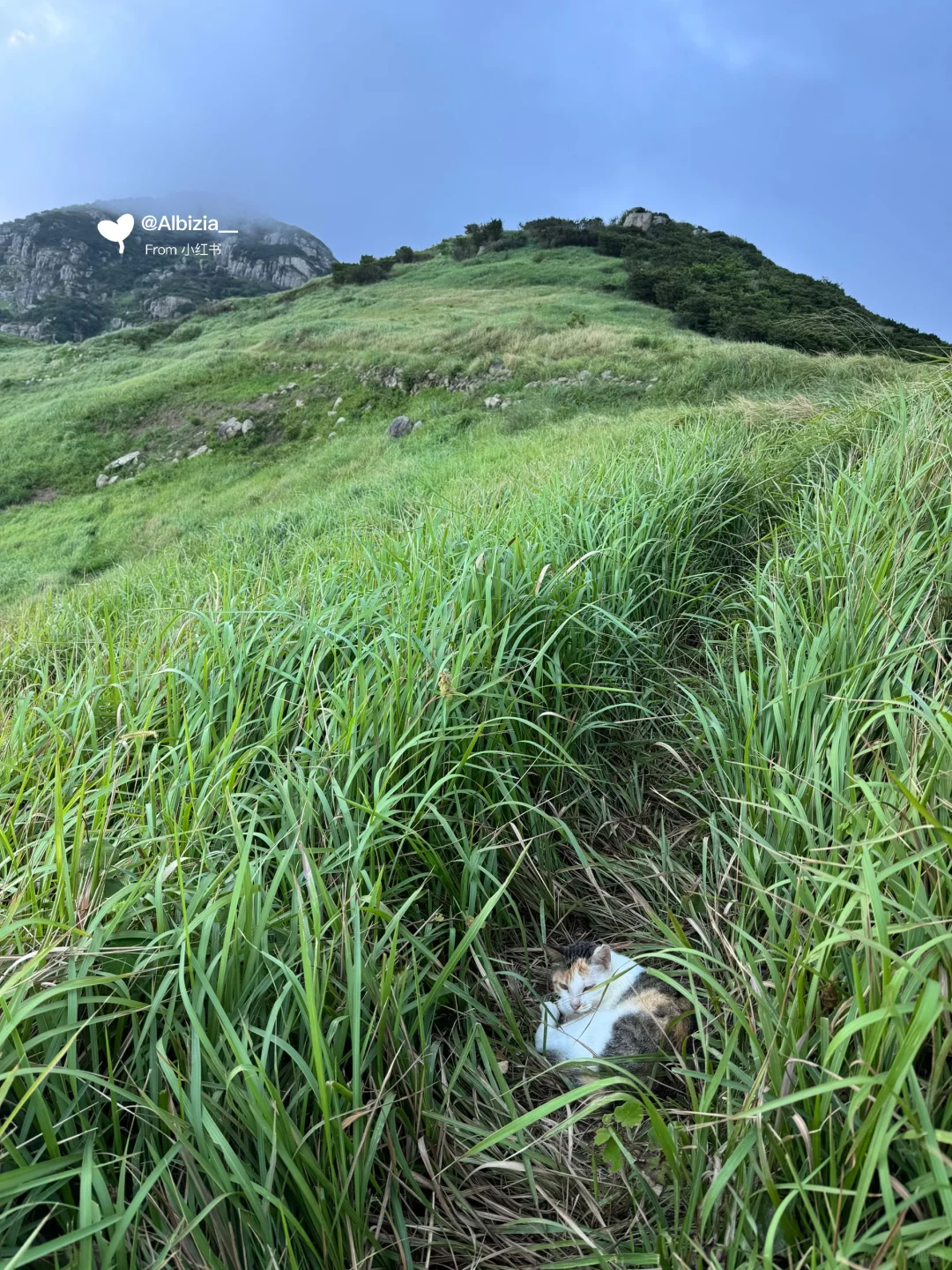 原来我的人间故乡海拉鲁大地在这里
