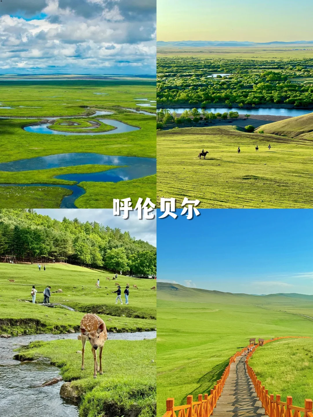 热疯了！国内十大避暑胜地，治愈你的夏天~