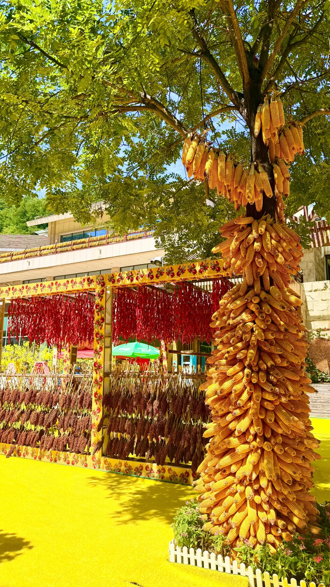 七步沟免门票啦！武安旅发必打卡秋日秘境✨