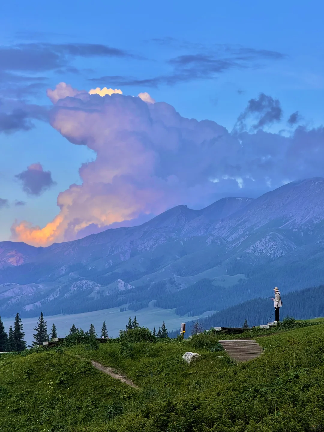 live｜新疆现实版旷野之息❗️