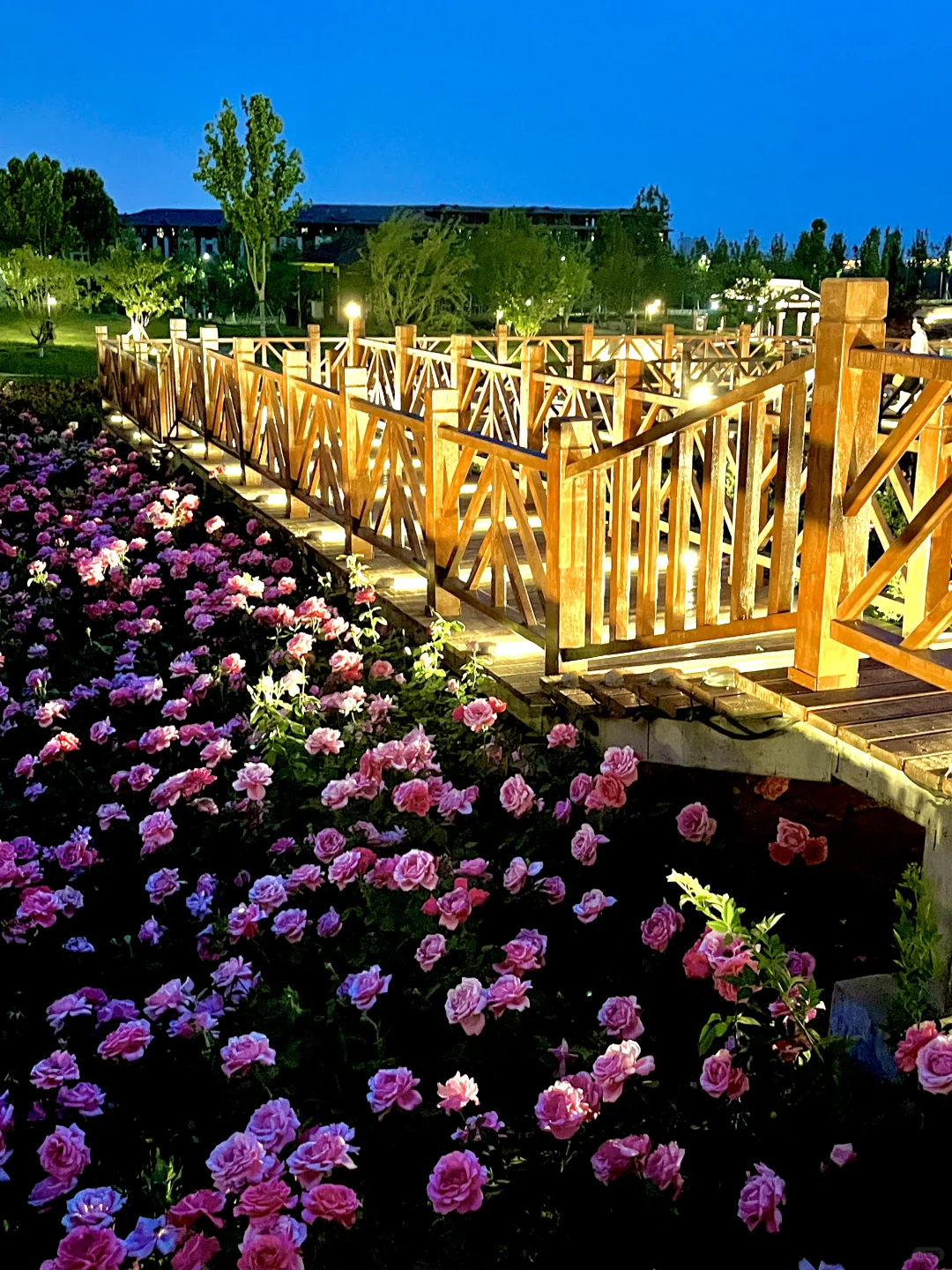 不是意大利是晋城！！都给我去啊啊啊啊！！！！