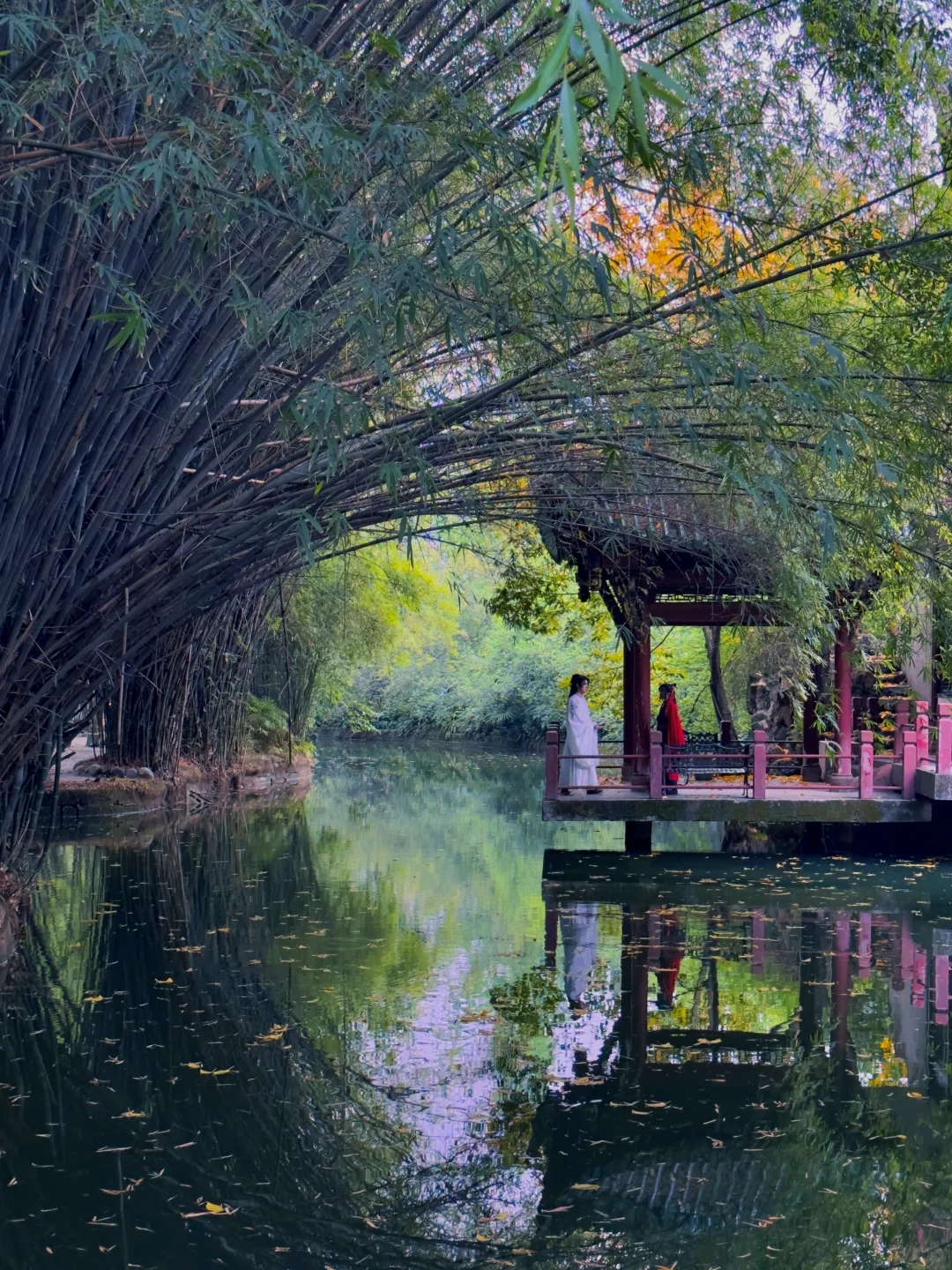 果然成都最好的地方都是免费的。。。。。(合集)