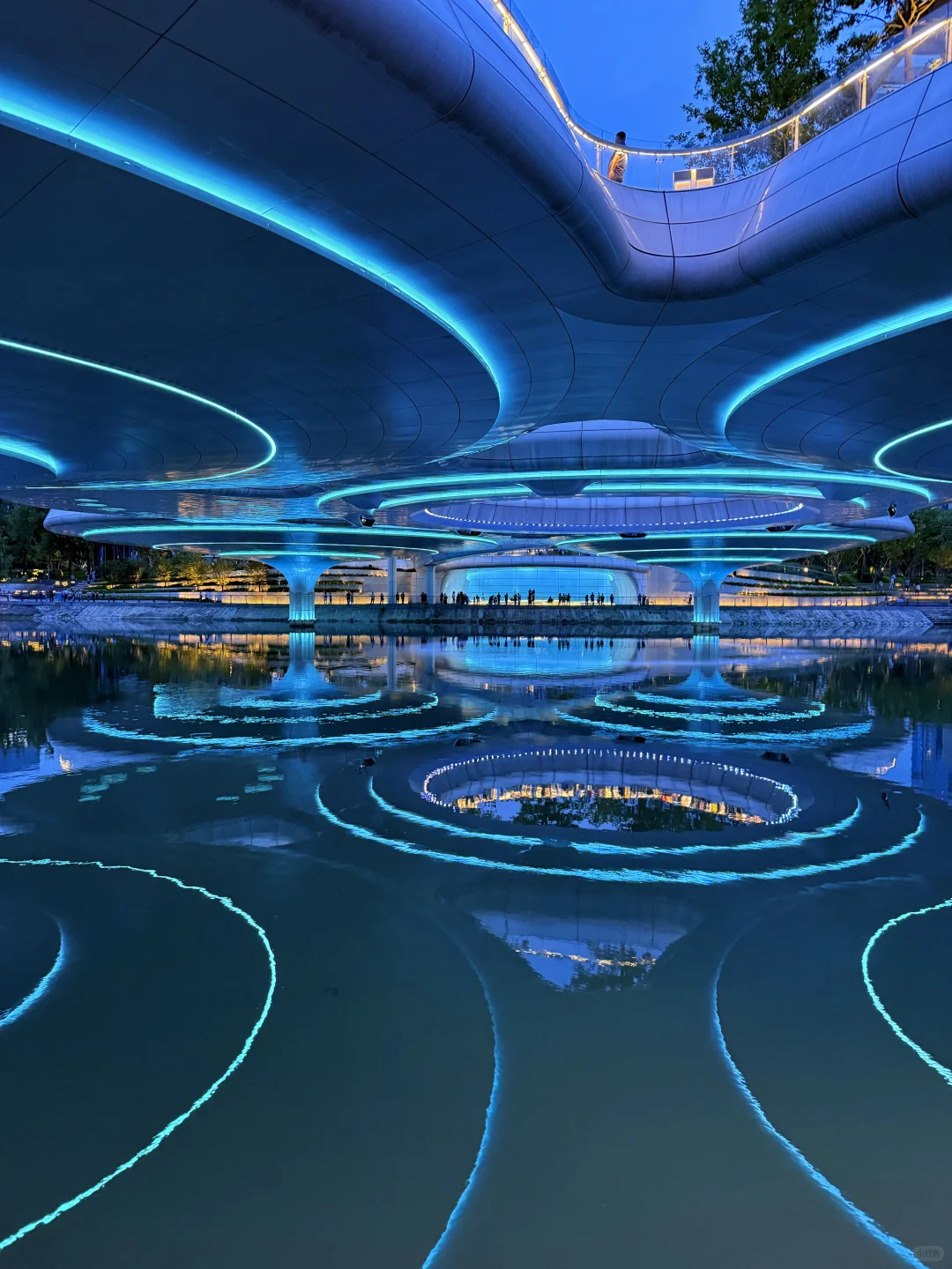 果然成都最好的地方都是免费的。。。。。(合集)