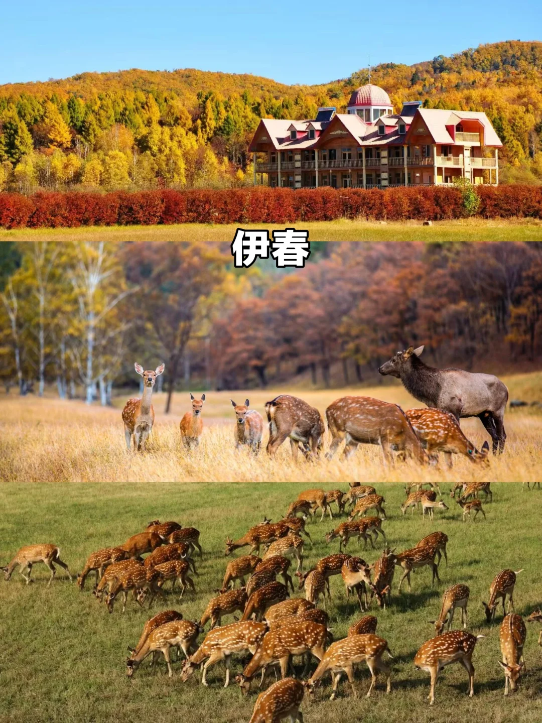 拒绝人从众！中秋国庆小众亲子目的地推荐