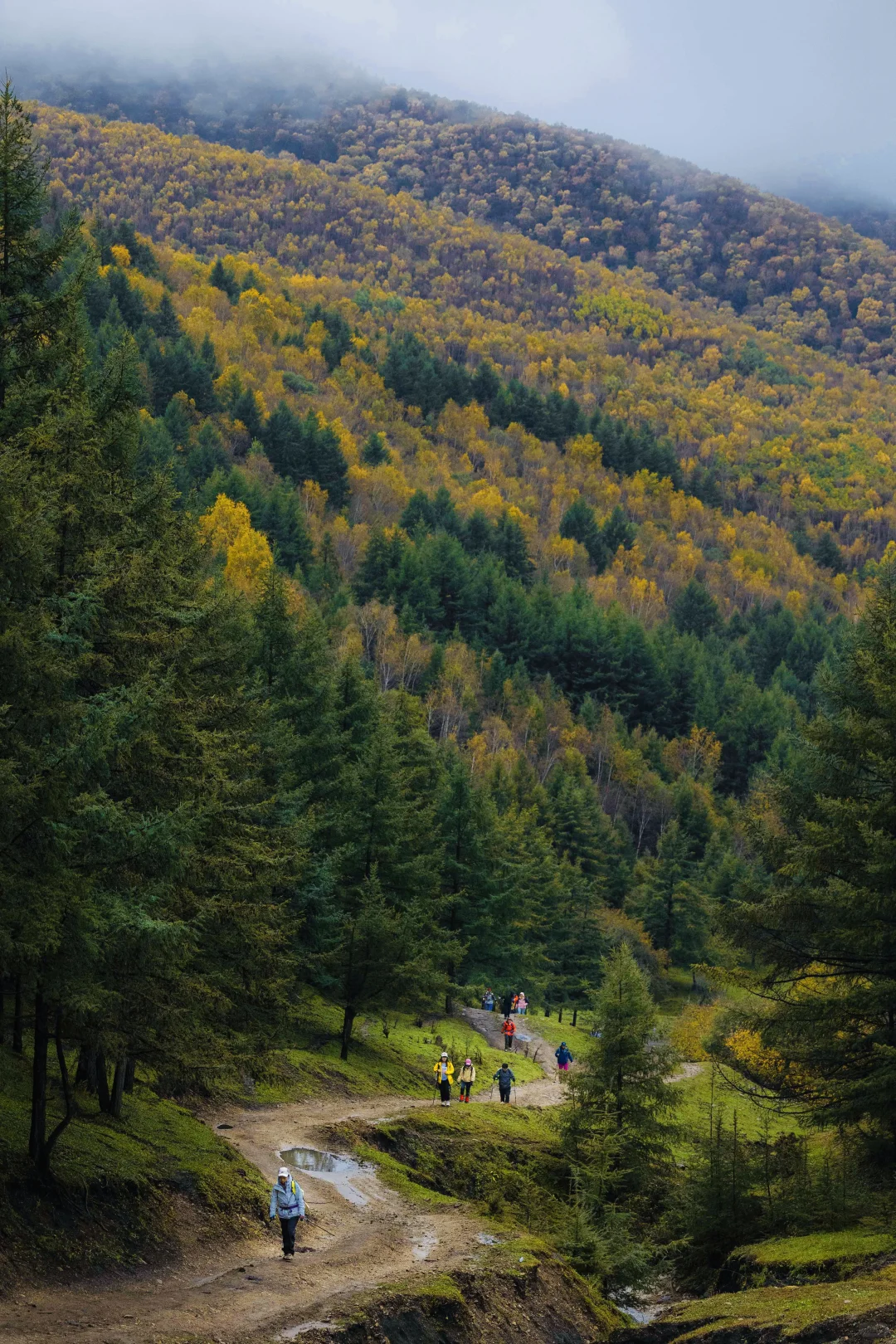 京津冀赏秋 | 2025年北京河北秋日徒步地图