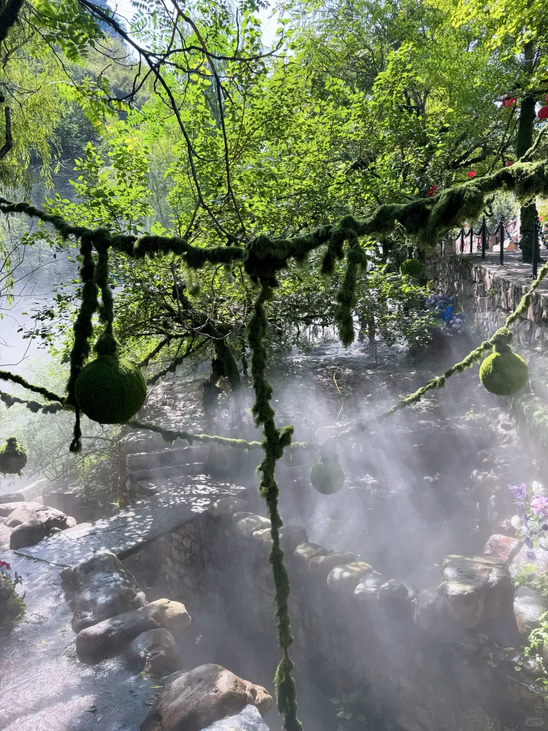 邯郸人也有自己的绿野仙踪🧚🏻‍♀️