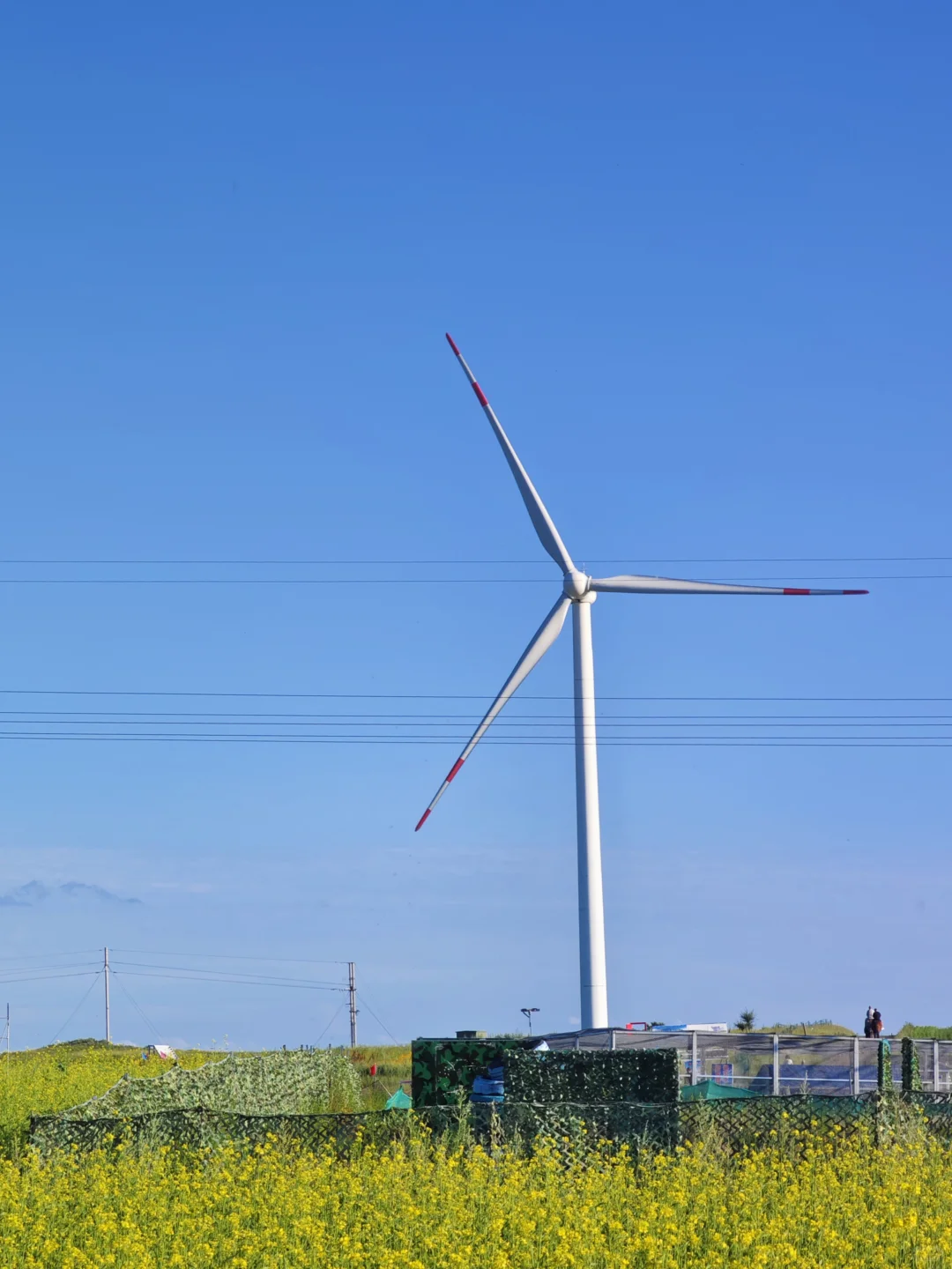 张北📍草原天路游玩儿现状