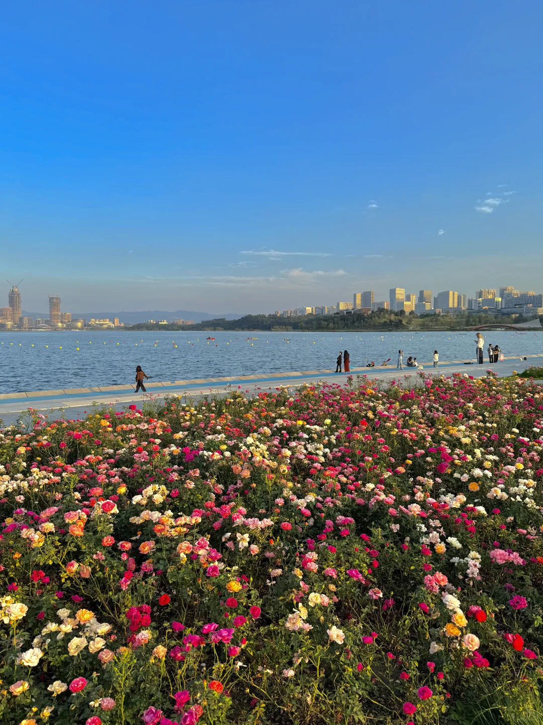 果然成都最好的地方都是免费的。。。。。(合集)