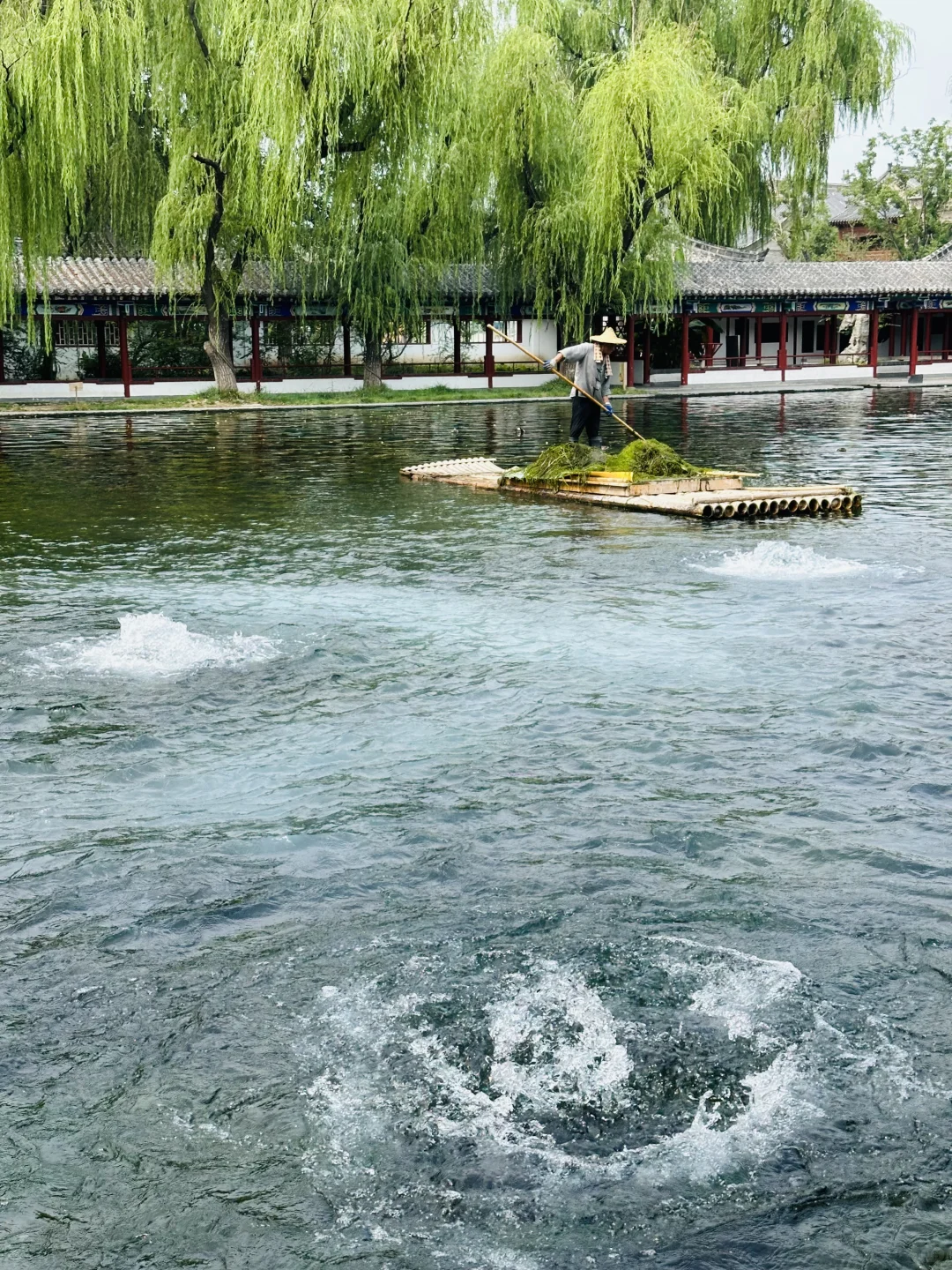 天津🚄1.5h直达|北方被严重低估的宝藏古城