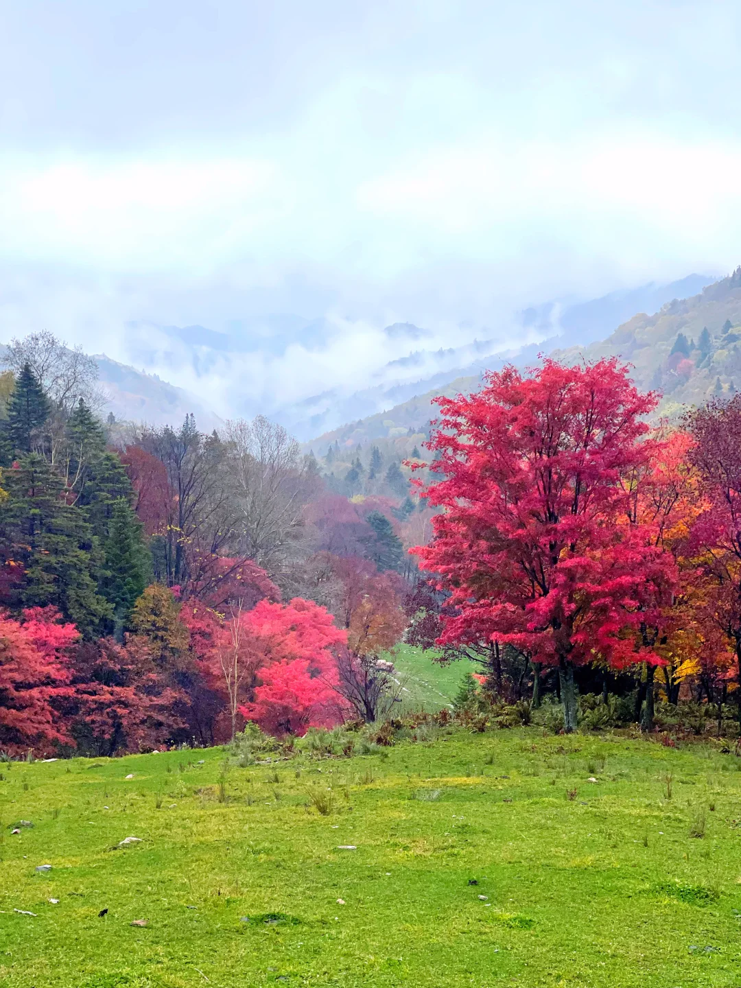 东北边陲小城，居然藏着祖国最美秋天！