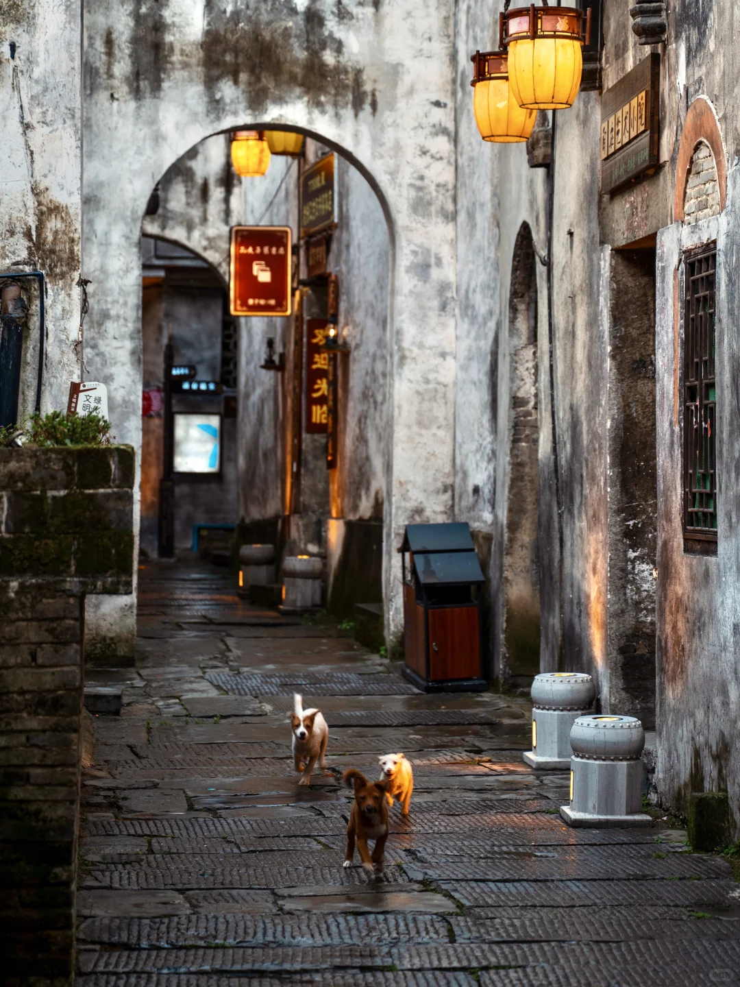 如果你知道湖南这座冷门小城，那很local了